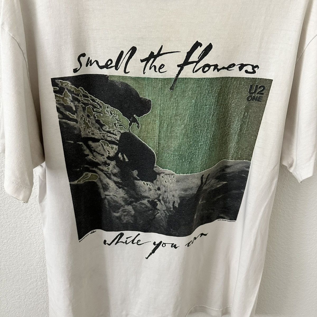 Hanes × Vintage VINTAGE 1991 U2 ‘Smell the Flowers While You Can’ SHIRT Size US L / EU 52-54 / 3 - 2 Thumbnail