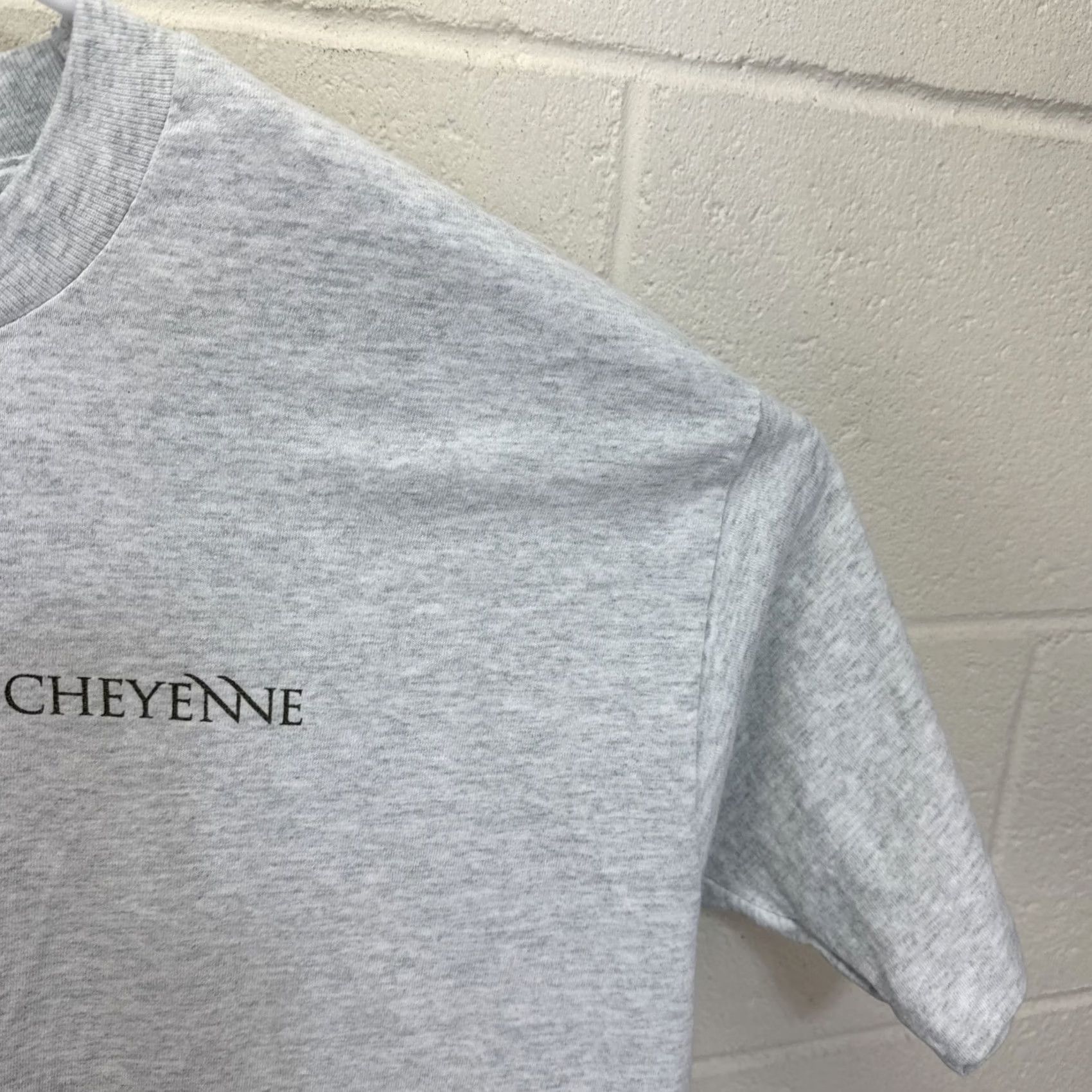Fruit Of The Loom VINTAGE Cheyenne Software Company T Shirt XL Men Gray 90s Technology Computers Lan Network Fruit of the Loom Shirt Size US XL / EU 56 / 4 - 6 Thumbnail