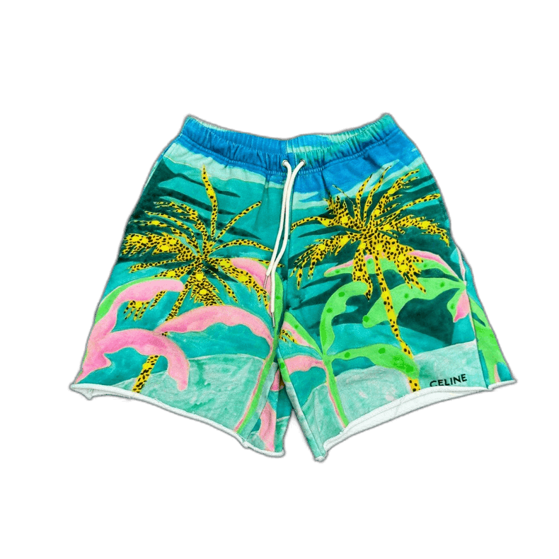 Celine x Tyson Reeder beach shorts