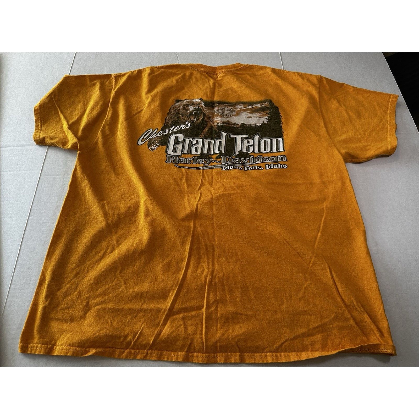 Harley Davidson Harley Davidson TShirt Grand Teton Idaho 2XL, Motorcycle Size US XXL / EU 58 / 5 - 12 Thumbnail