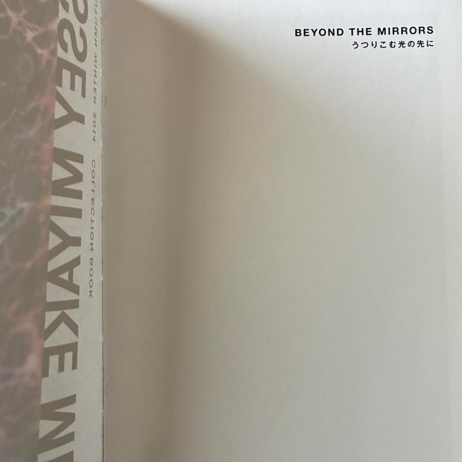 Homme Plisse Issey Miyake × Issey Miyake Issey Miyake Men autumn/winter 2014 catalog lookbook Size ONE SIZE - 2 Thumbnail