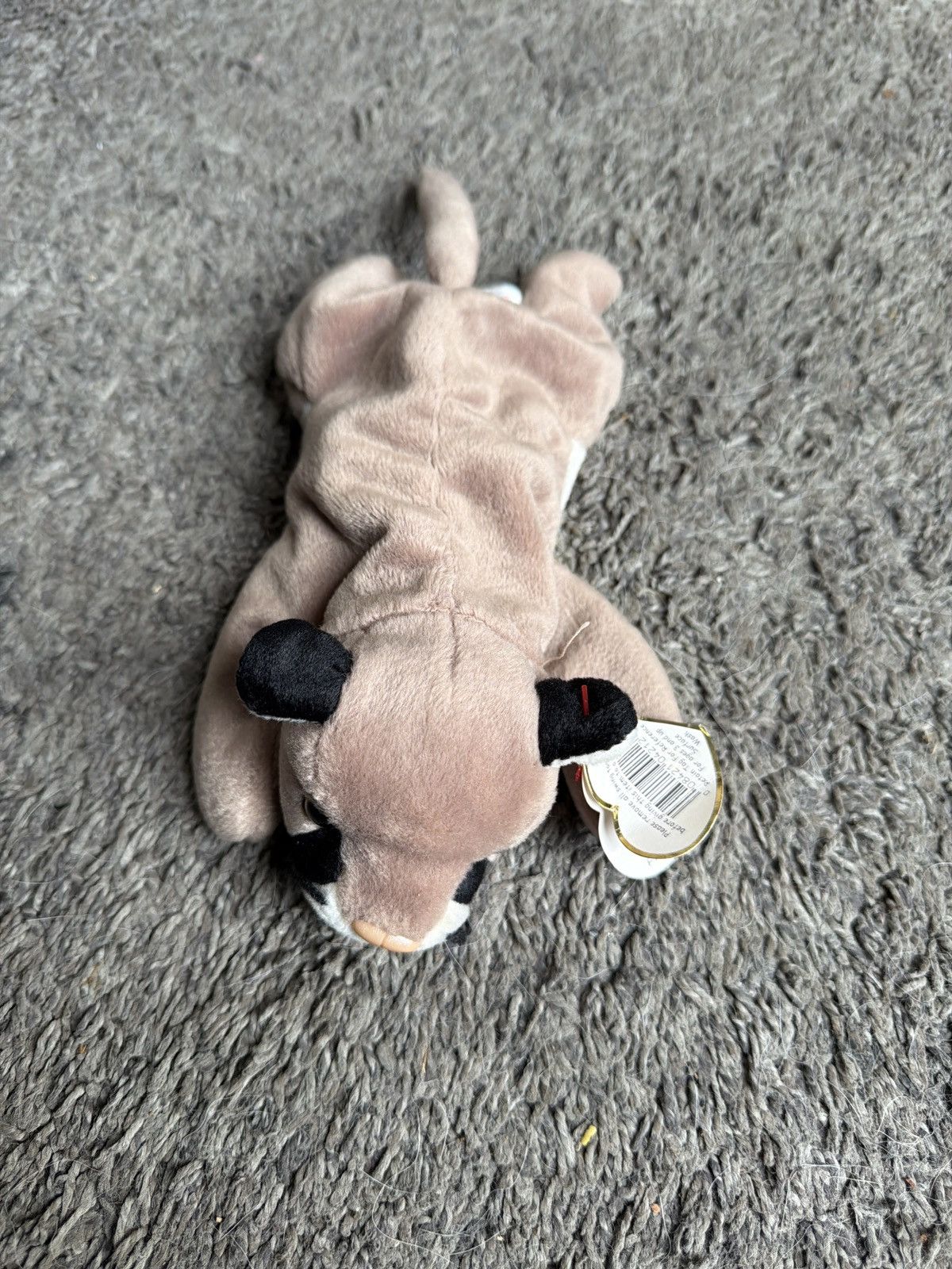 Vintage 1998 Ty Canyon Beanie Baby Size ONE SIZE - 1 Thumbnail