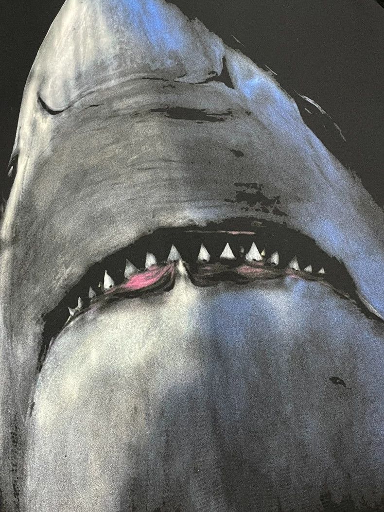 Givenchy Givenchy Black shark short sleeve T-shirt top Size US XS / EU 42 / 0 - 2 Thumbnail