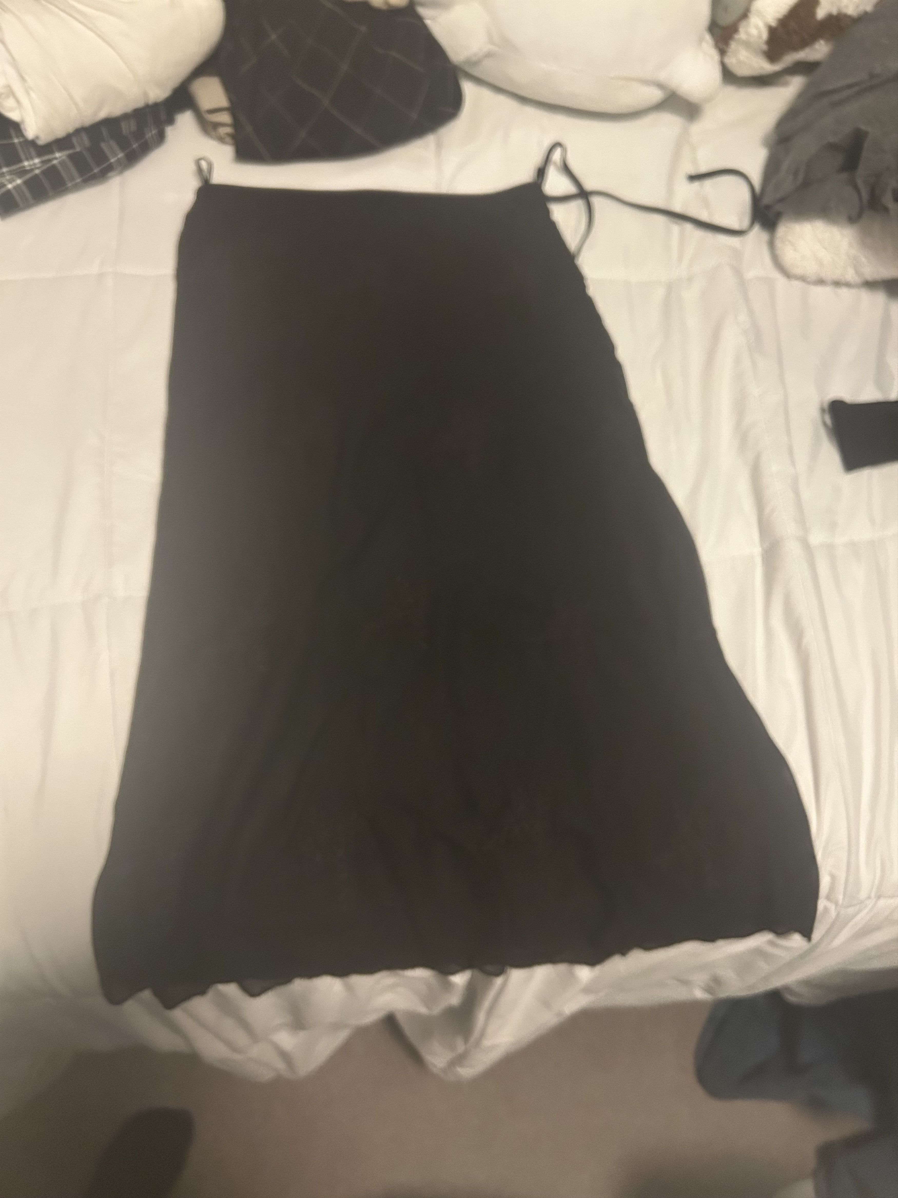 Zara Zara ZW COLLECTION EMBROIDERED see through MIDI SKIRT Size 27" / US 4 / IT 40 - 1 Thumbnail