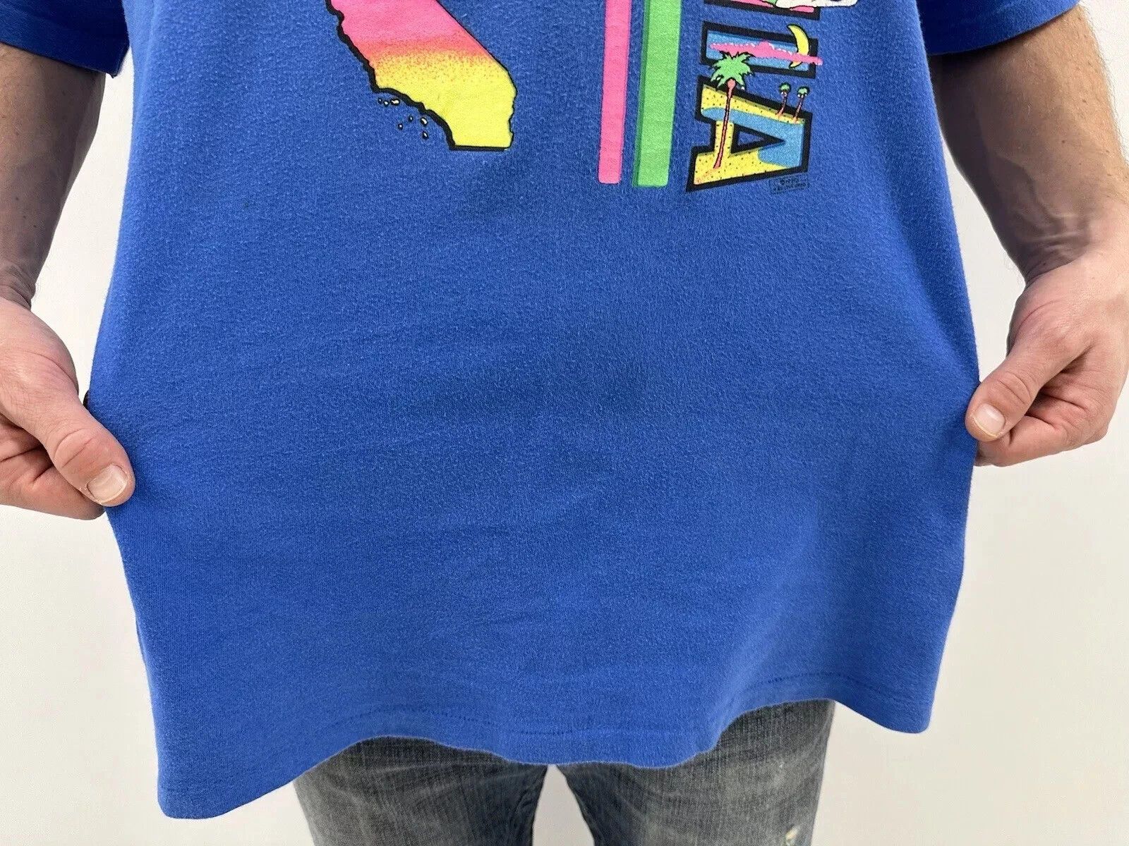 Hanes HANES VINTAGE 1990s T-SHIRT Faded CALIFORNIA Single Stitch Size US XL / EU 56 / 4 - 5 Thumbnail
