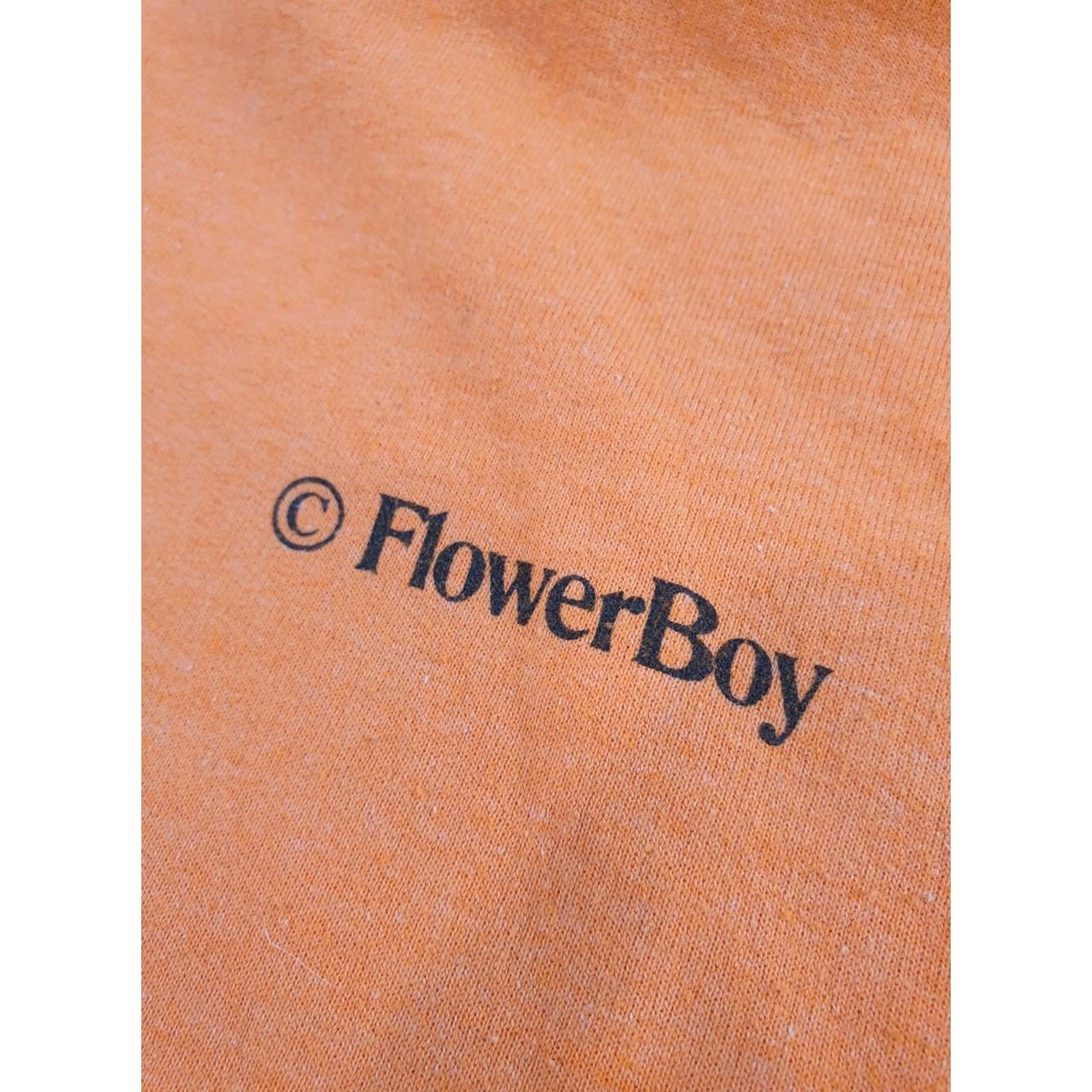 Golf Wang VINTAGE Golf Wang Flower Boy Hoodie Mens L Orange Save the Bees Pullover Graphic Bee Size US L / EU 52-54 / 3 - 2 Thumbnail