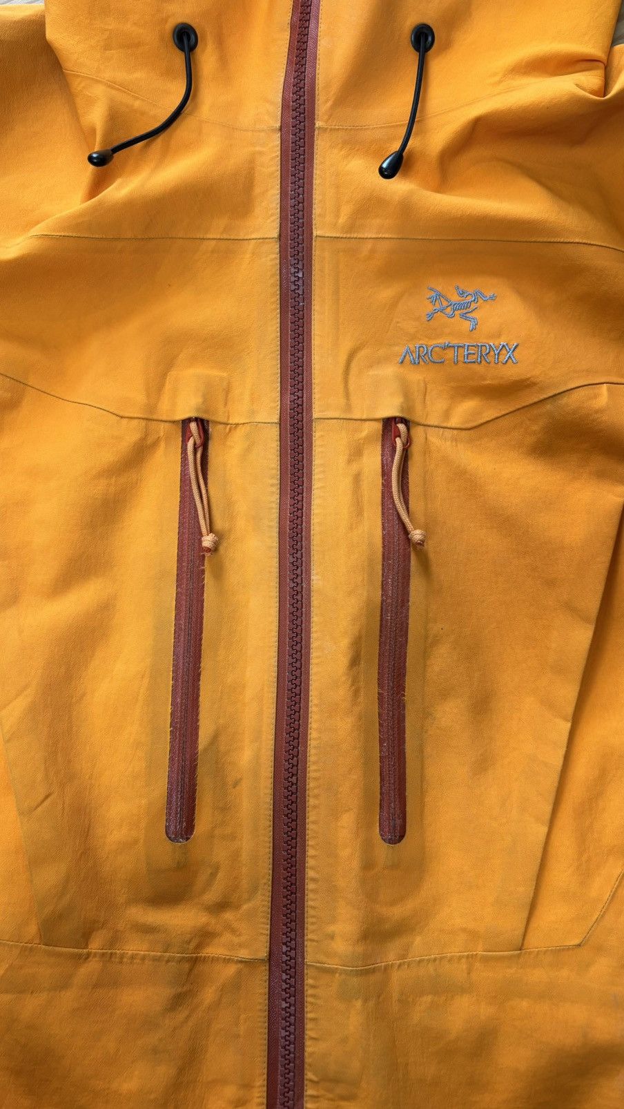 Arc'teryx Arc’teryx Alpha SV canada Size S / US 4 / IT 40 - 14 Thumbnail