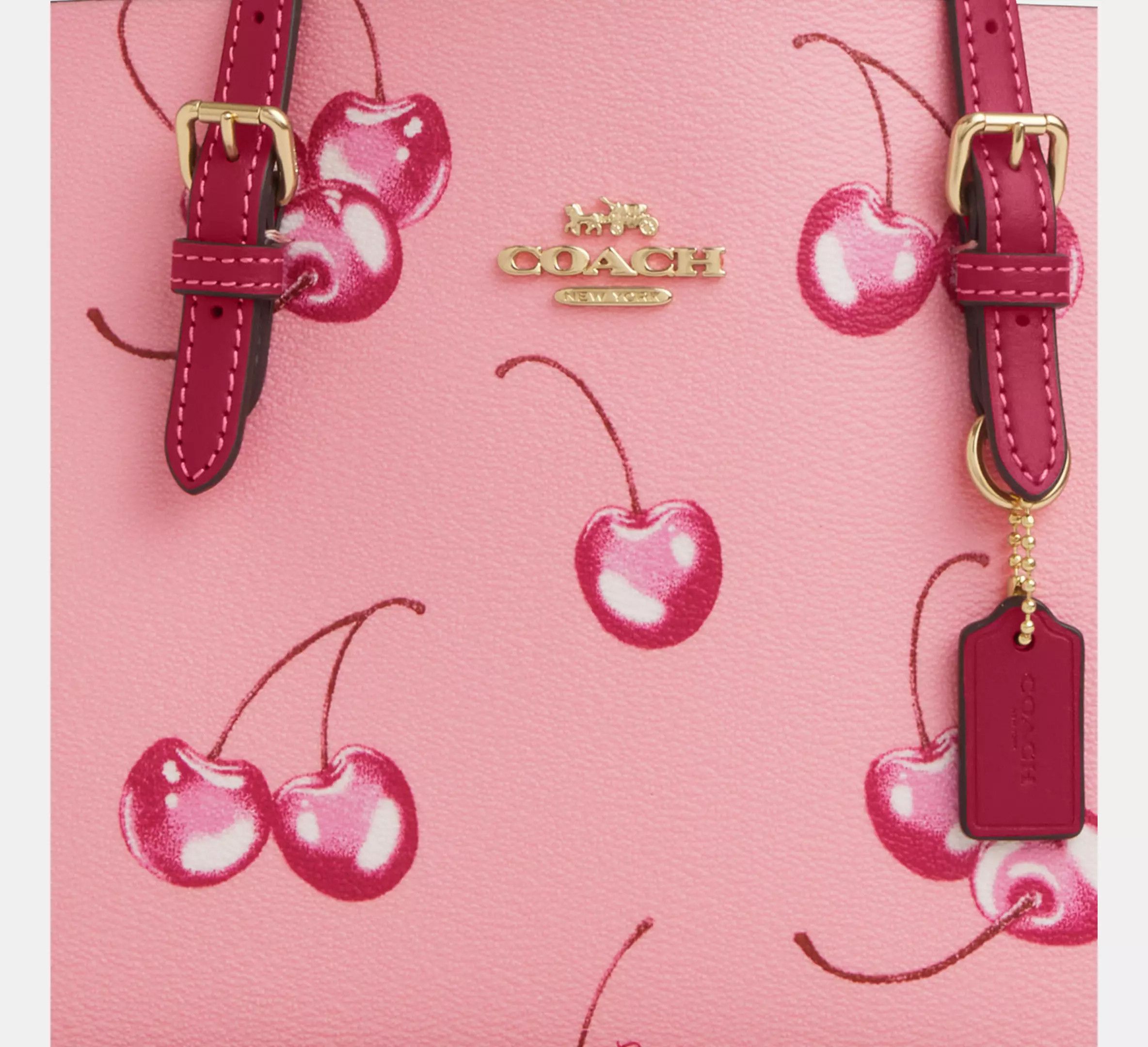 Coach 🍒 Mollie Tote Bag 25 With Cherry Print CR293 Size ONE SIZE - 13 Thumbnail