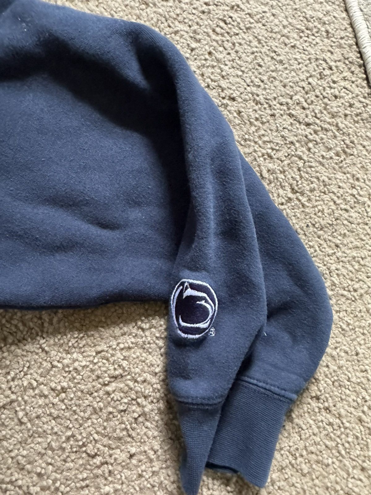 Champion Penn State Hoodie Size US M / EU 48-50 / 2 - 4 Thumbnail