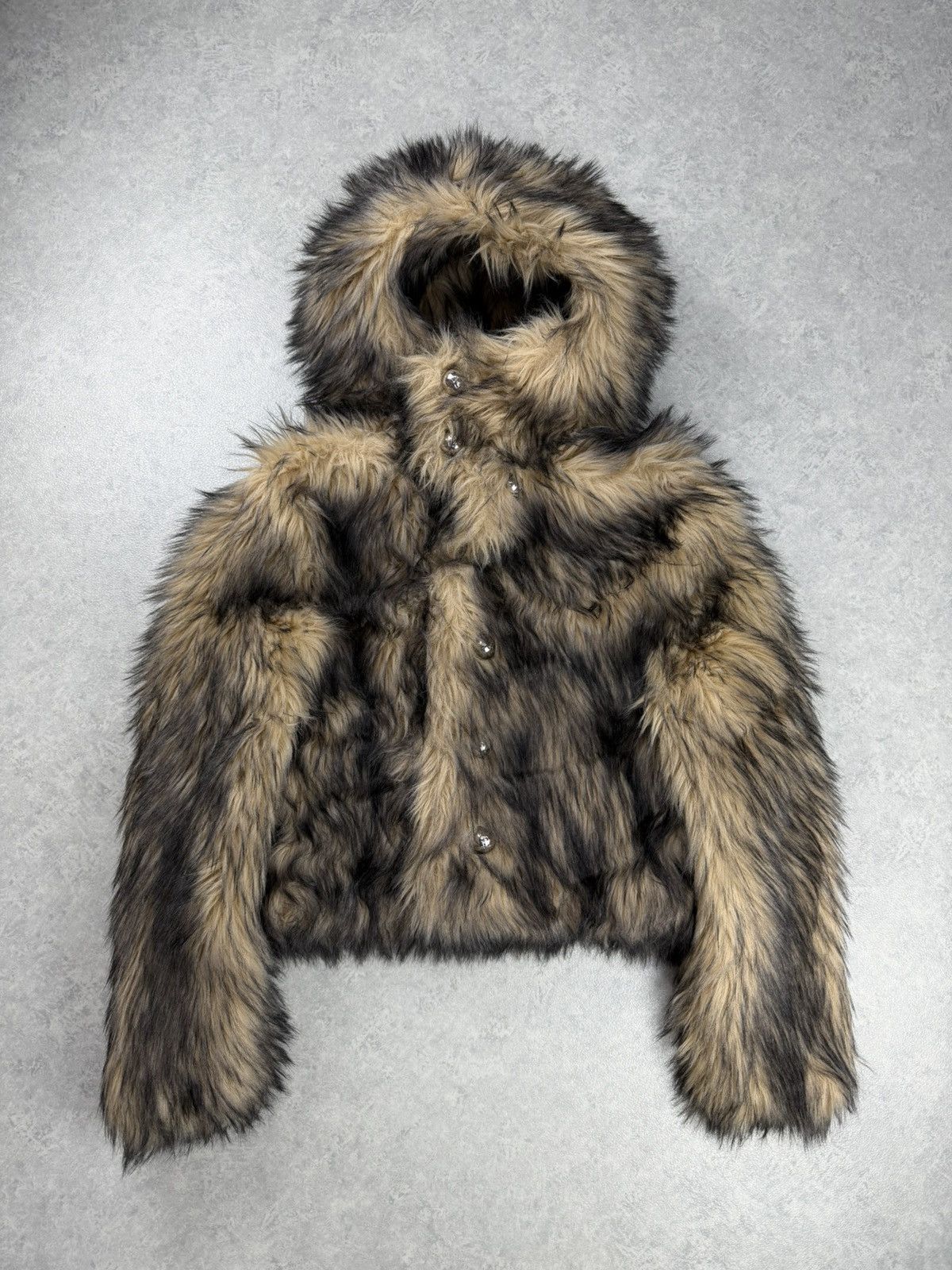 H&M × Paco Rabanne Rabanne x H&M Faux Fur Hooded Jacket Size S Size S / US 4 / IT 40 - 2 Thumbnail