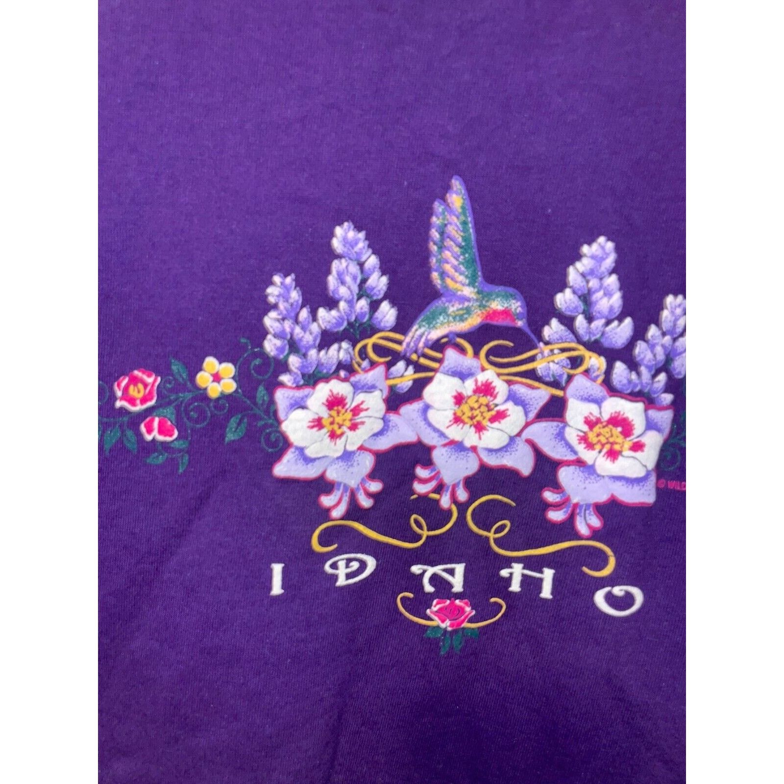 Jerzees Vintage Idaho Shirt Flowers Flower Graphic Tee VTG 90s L Size US L / EU 52-54 / 3 - 3 Thumbnail