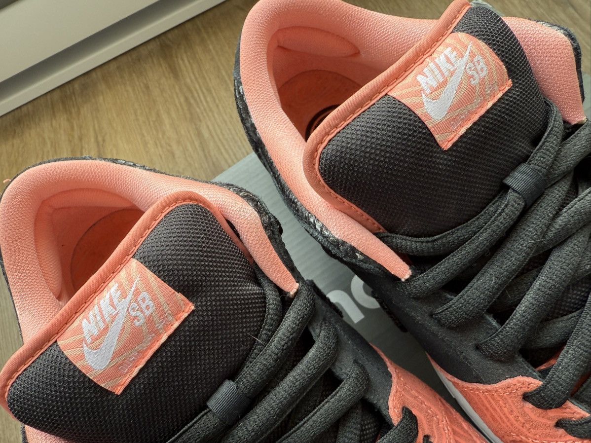 Nike Nike SB Dunk Low Premier - Fish Ladders Size US 11 / EU 44 - 8 Thumbnail