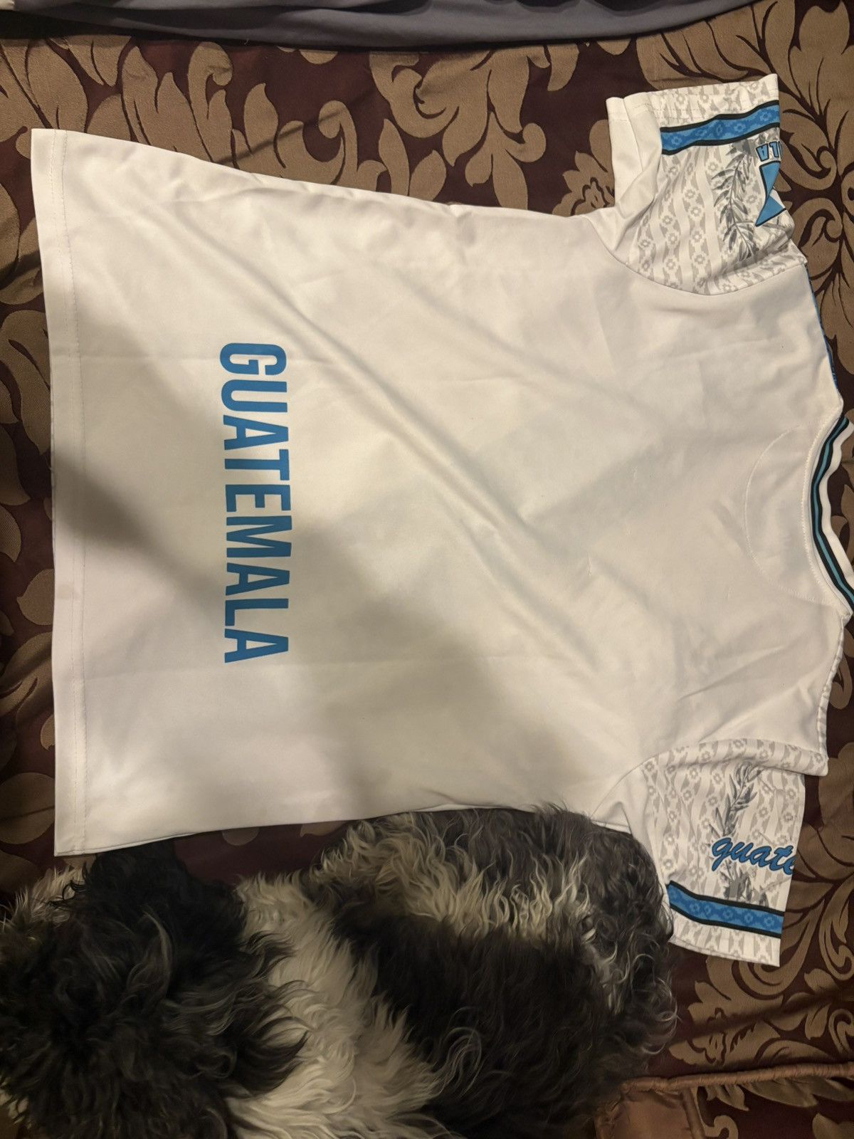 Umbro GUATEMALA CUSTOM HOME JERSEY Size US S / EU 44-46 / 1 - 4 Thumbnail