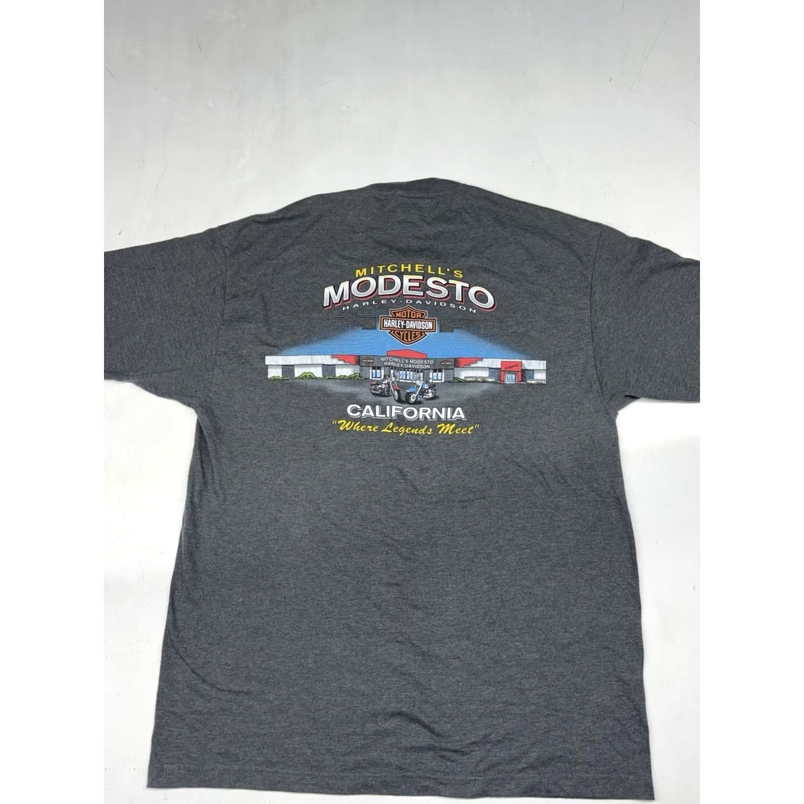 Harley Davidson Harley-Davidson T Shirt Gray Short Sleeve Eagle Logo Back Hit Mens L Size US L / EU 52-54 / 3 - 8 Thumbnail