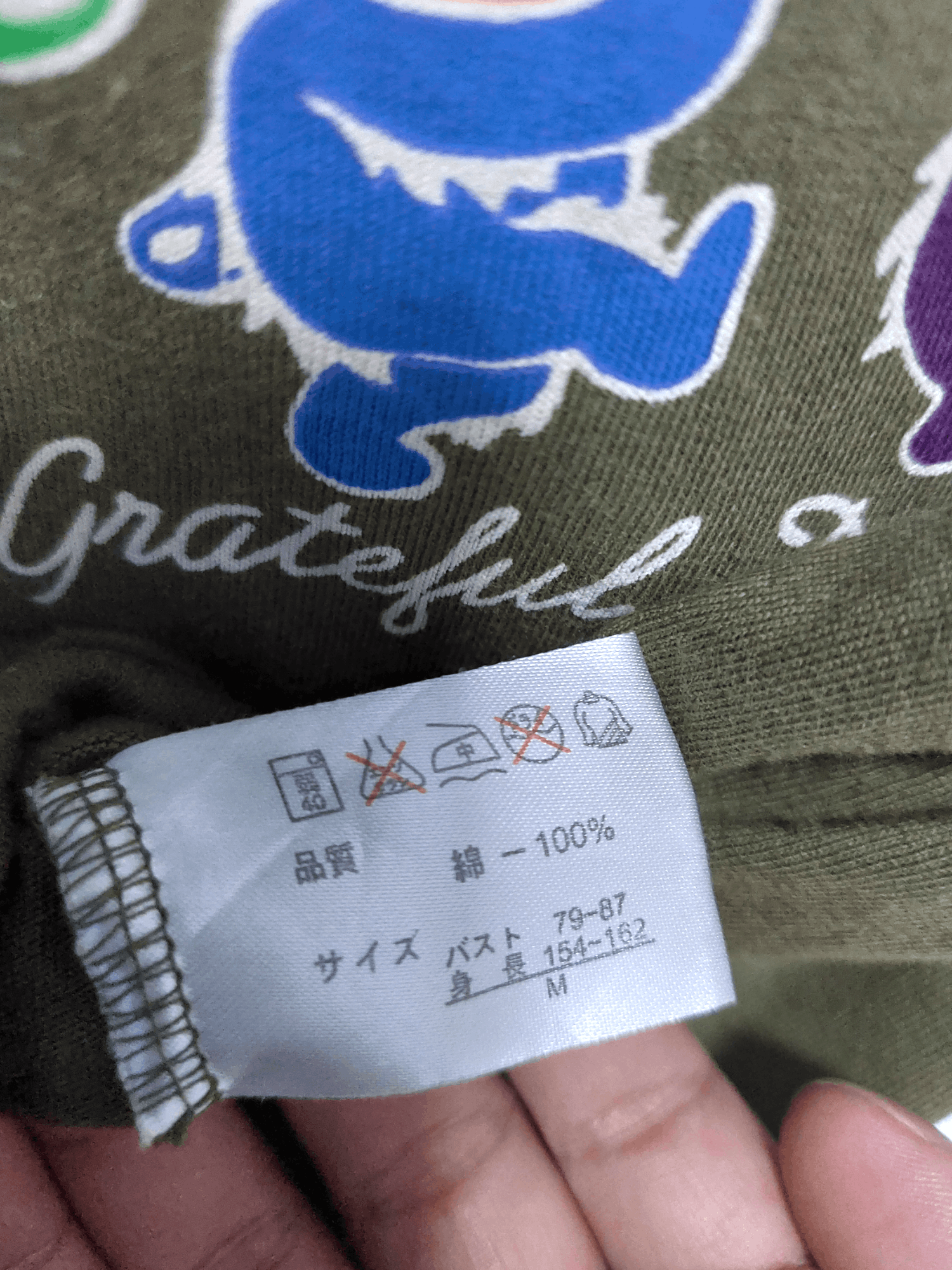 Grateful Dead Grateful Dead Hoodies Dancing Bear Size US S / EU 44-46 / 1 - 6 Thumbnail