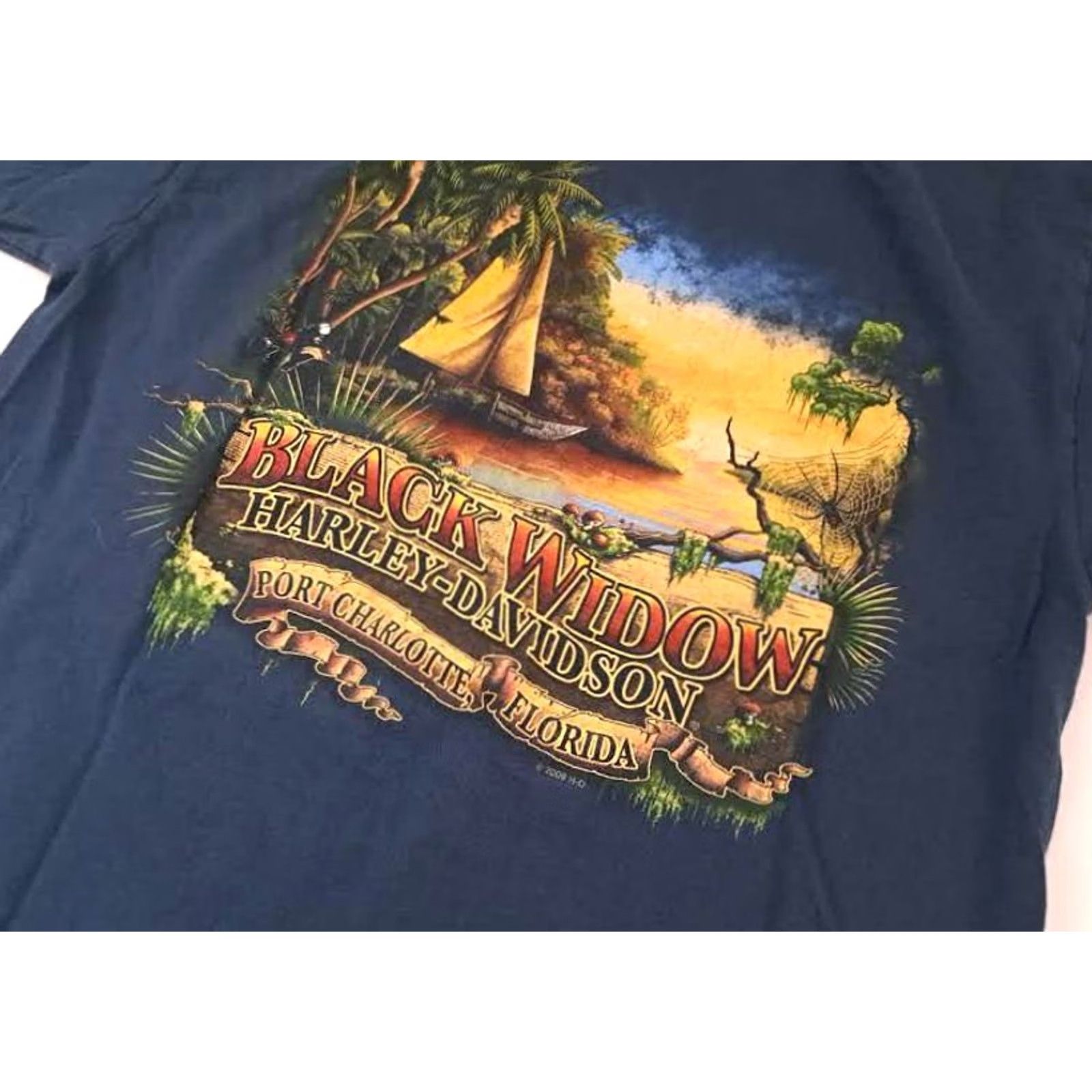 Harley Davidson Harley-Davidson T-Shirt USA Charlotte 2009 M Blue Unisex Adults Short Sleeve Medium Black Widow Port Charlotte Florida Size US M / EU 48-50 / 2 - 5 Thumbnail