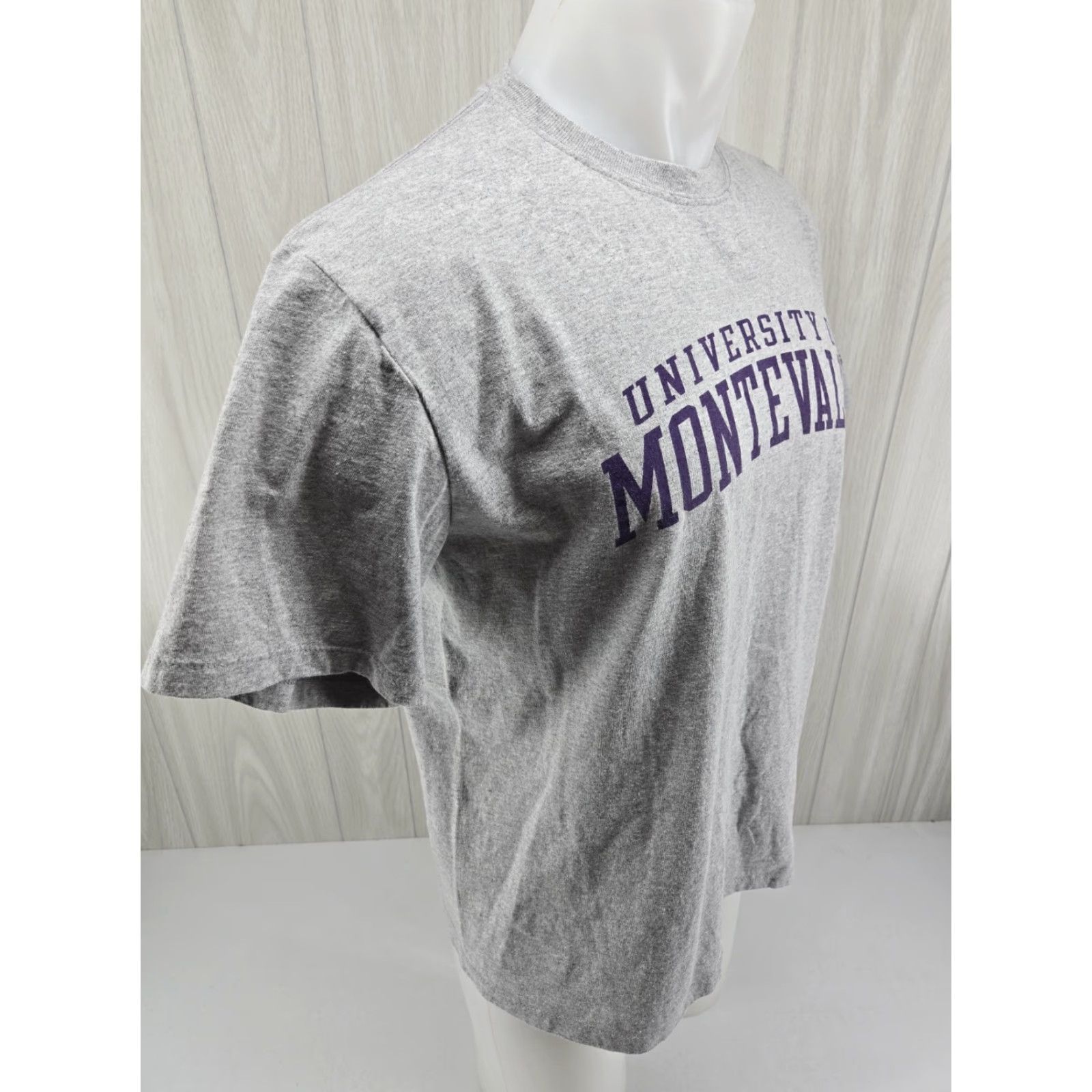 Vintage University of Montevallo Falcons UM T Shirt Size Large Gray Men Regular Cotton Short Sleeve Vintage No N/A Size US L / EU 52-54 / 3 - 7 Thumbnail