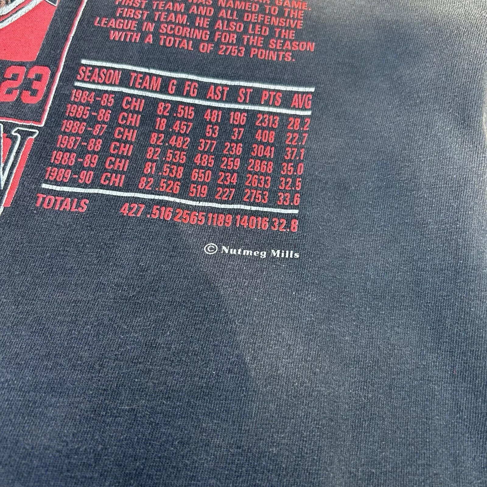 Nutmeg Vintage Michael Jordan Nutmeg Mills Shirt Adult Size US L / EU 52-54 / 3 - 4 Thumbnail