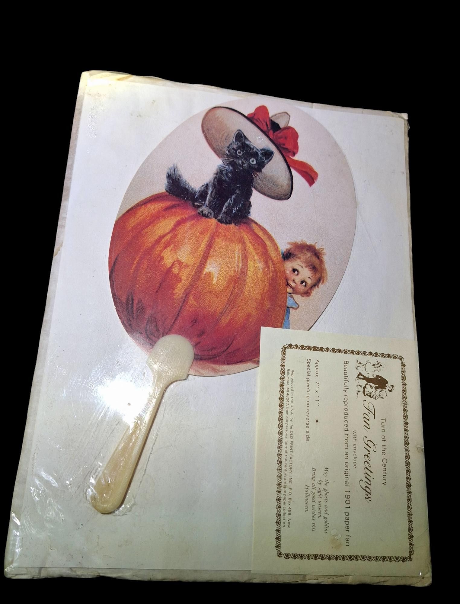 Designer Vtg 1901 Turn of the Century "Fan Greetings" Reproduction Size ONE SIZE - 2 Thumbnail
