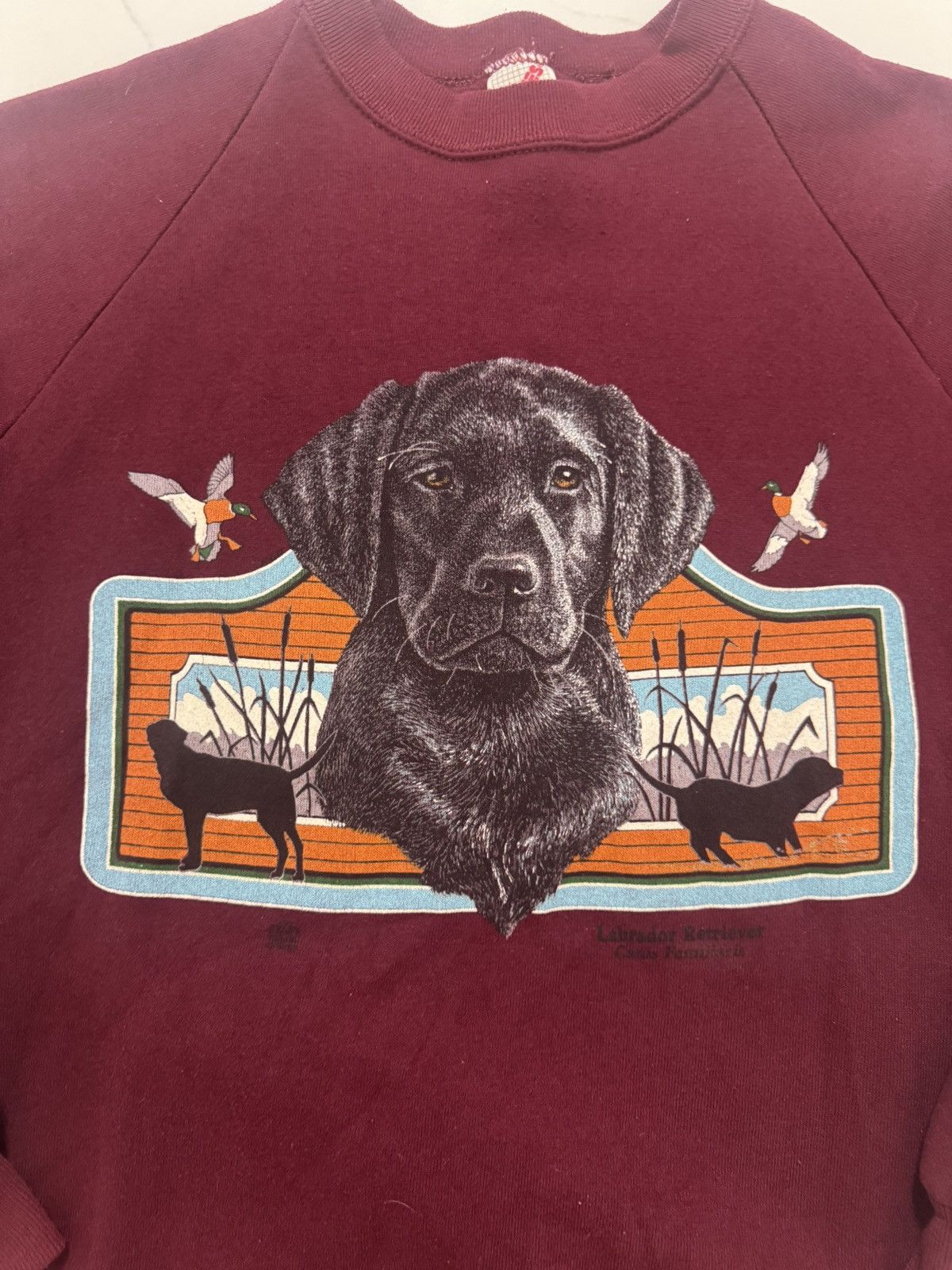 Jerzees Vintage 80s/90s Labrador Retriever hunting crewneck Size US L / EU 52-54 / 3 - 1 Thumbnail
