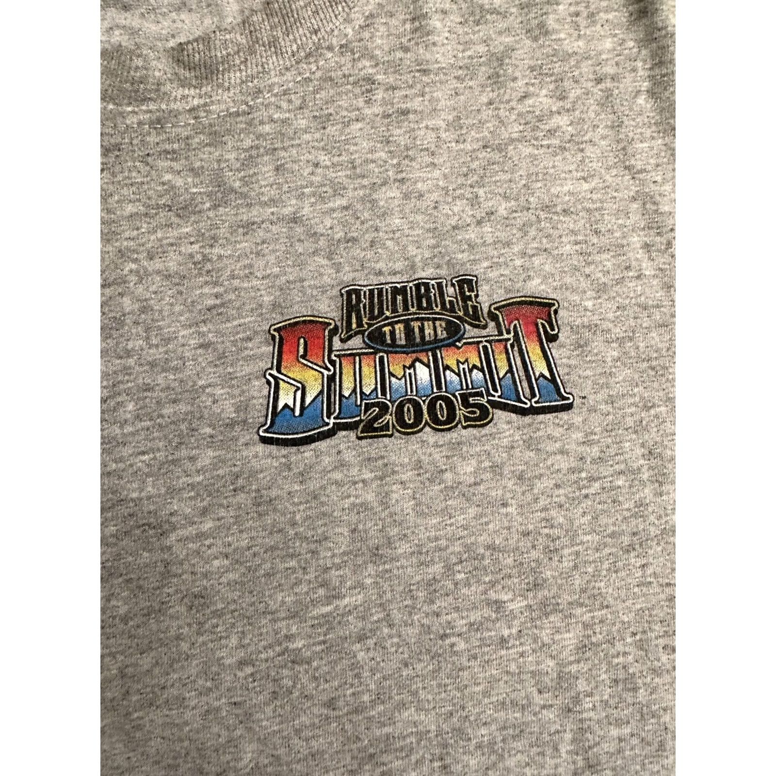 Harley Davidson Harley-Davidson Motorcycle Shirt 3XL Men Fresno 2005 Rumble To The Summit Gray T-Shirt Size US XXL / EU 58 / 5 - 4 Thumbnail