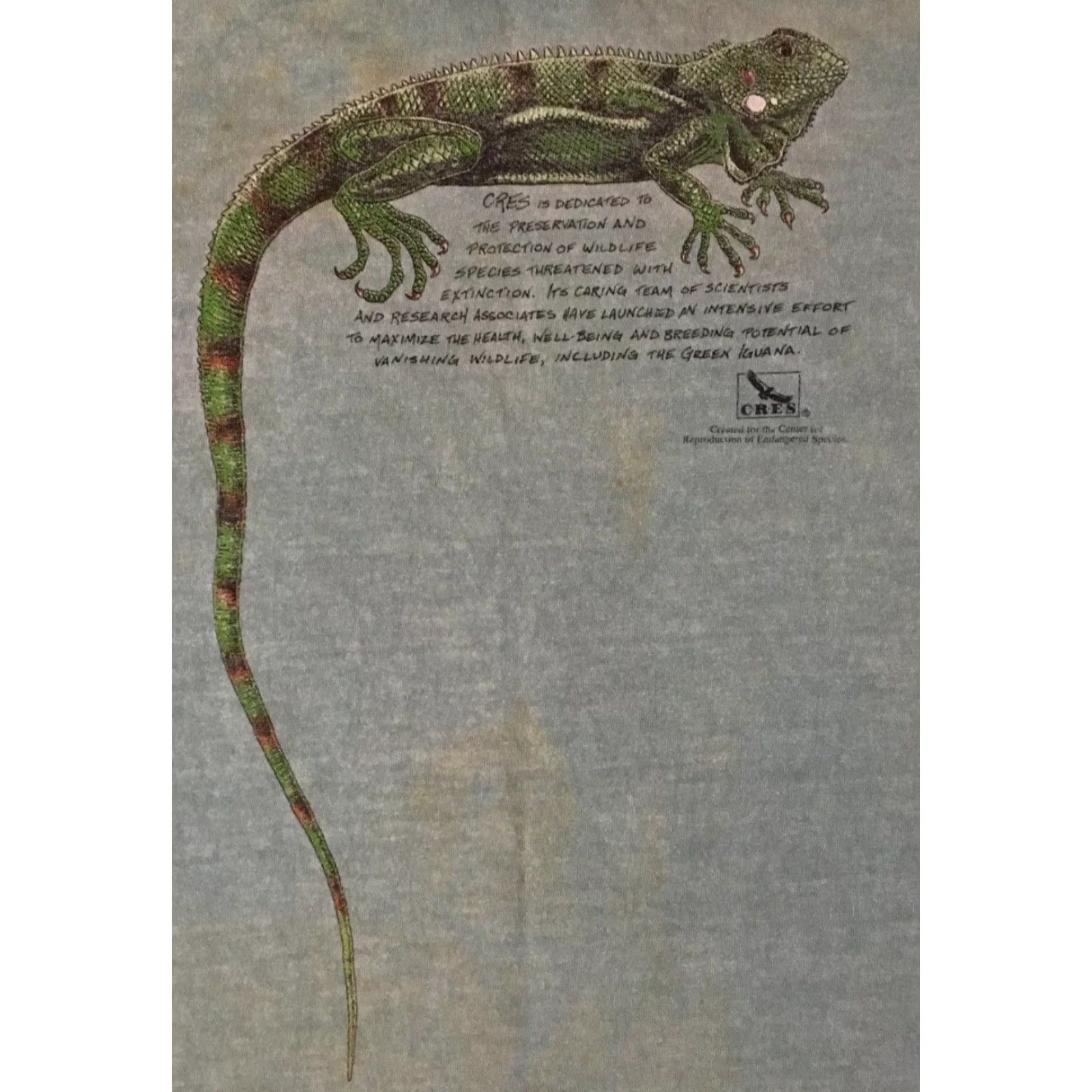 Vintage VINTAGE Iguana T-Shirt XL Green Boxy Men Regular Single Stitch 90s Distressed All Over Print Beach Grunge Animals Art Nature USA Animated Lizard Size US XL / EU 56 / 4 - 4 Thumbnail