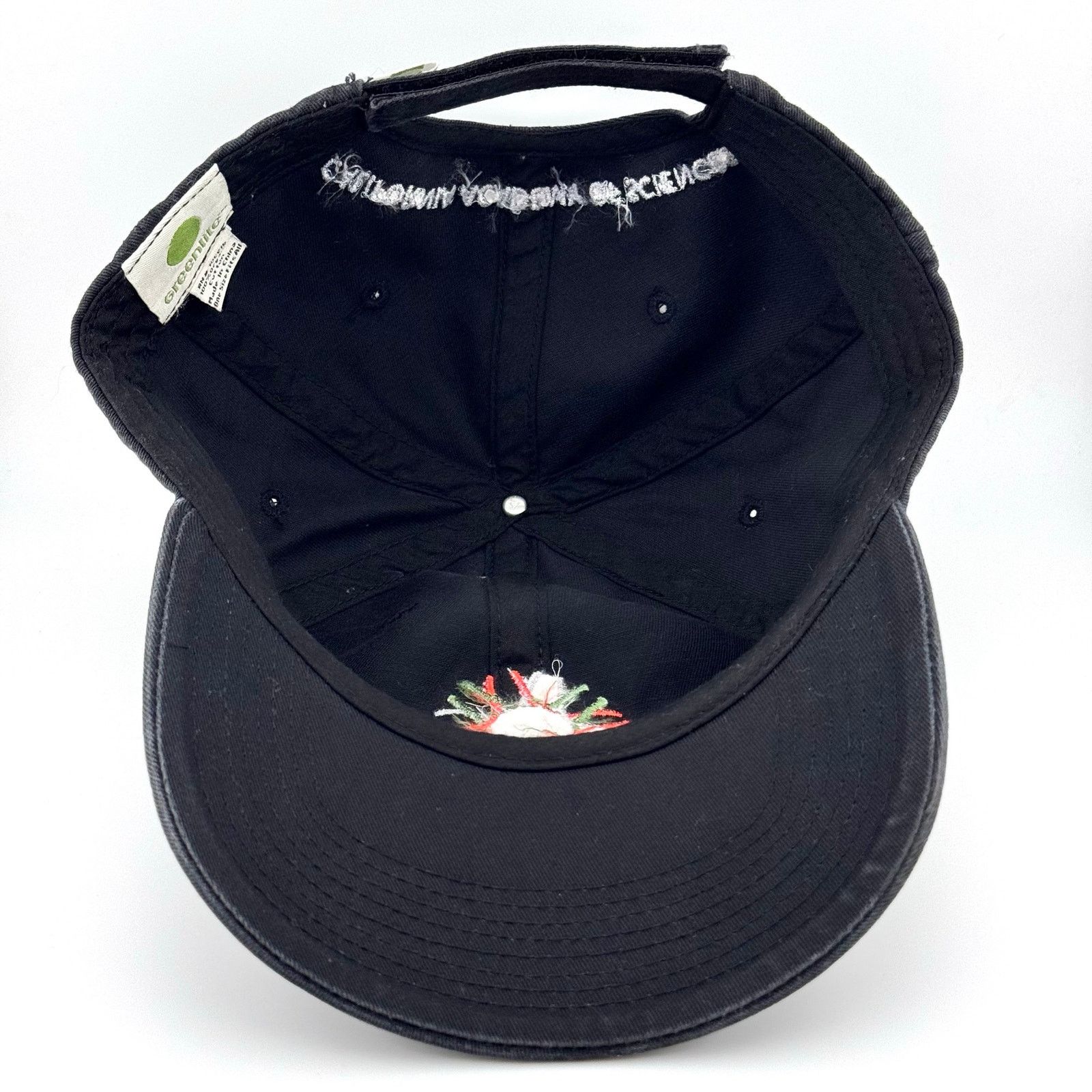 Vintage Vtg Y2K Research Museum California Academy of Sciences Cap Size ONE SIZE - 4 Thumbnail