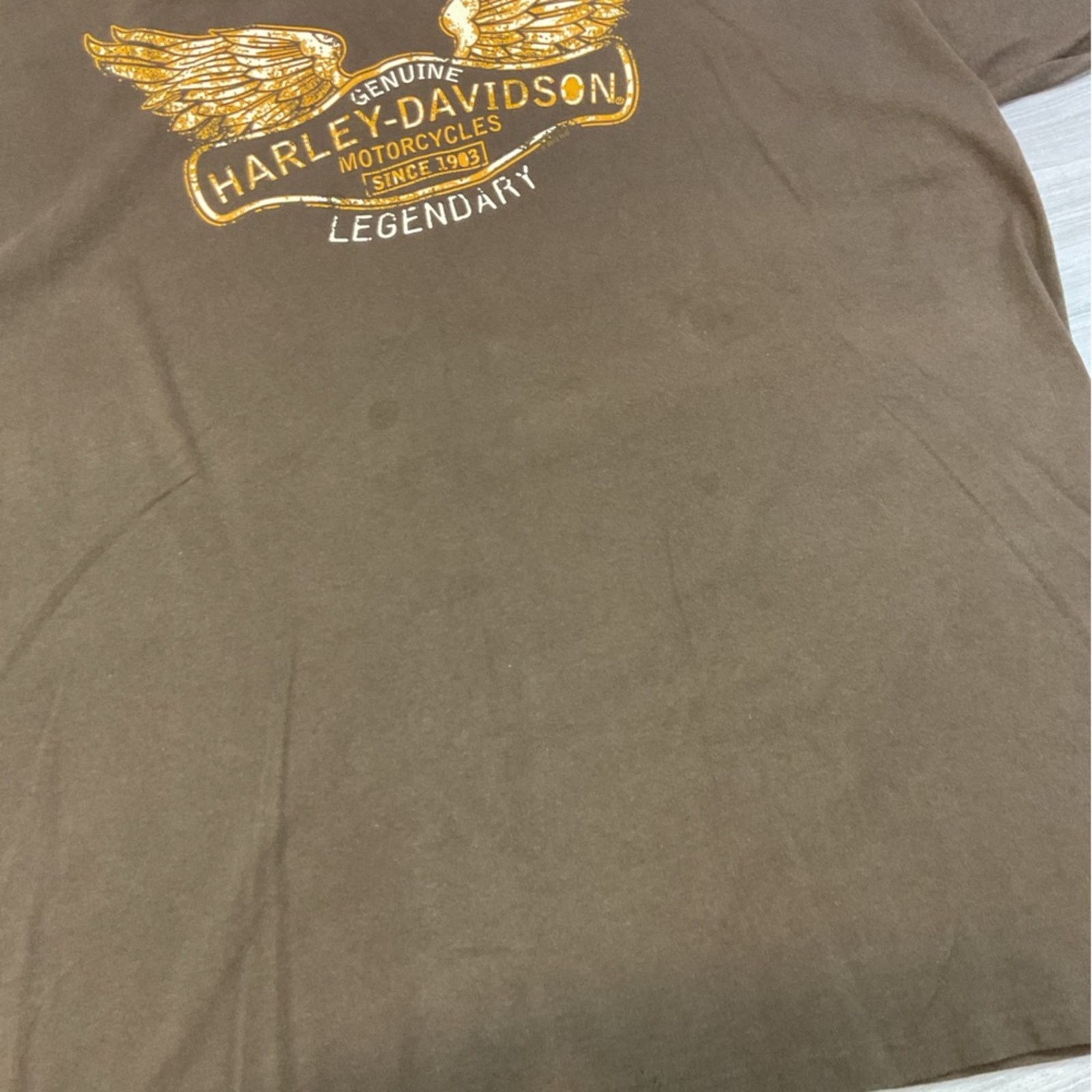 Harley Davidson Harley-Davidson Genuine Legendary Brown T-Shirt Size US XXL / EU 58 / 5 - 7 Thumbnail