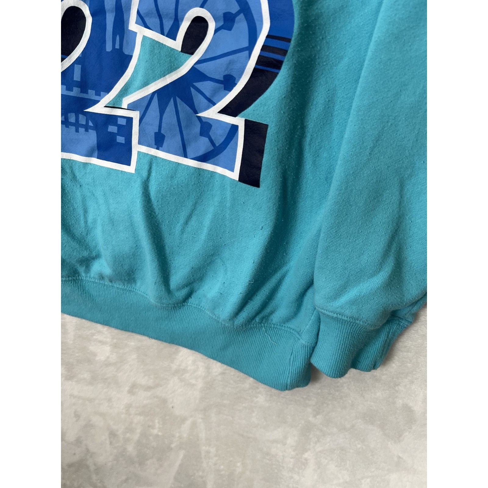Disney 2022 Disneyland Resort Hoodie Sweatshirt Size Adult Medium D Size M / US 6-8 / IT 42-44 - 12 Thumbnail