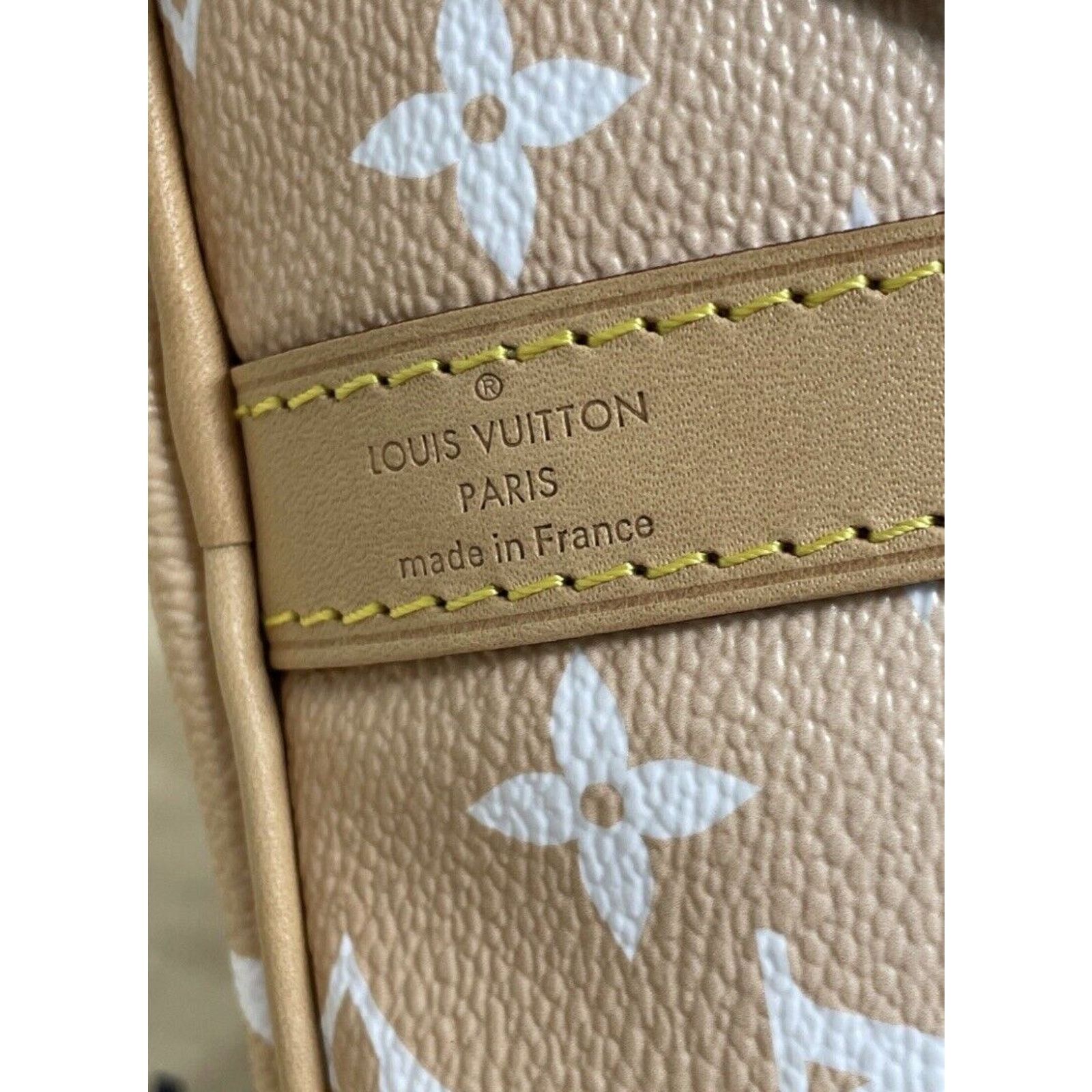 Louis Vuitton Louis Vuitton Speedy 25 Bandouliere By the Pool Mist Color Size ONE SIZE - 7 Thumbnail
