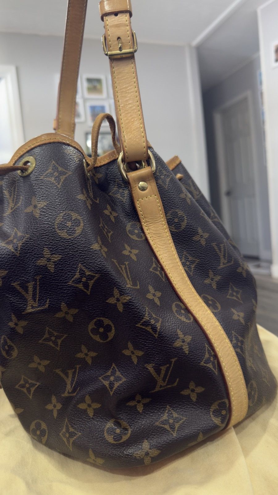 Louis Vuitton Louis Vuitton Noé Monogram Bucket Bag (Brown Leather Trim) Size ONE SIZE - 4 Thumbnail