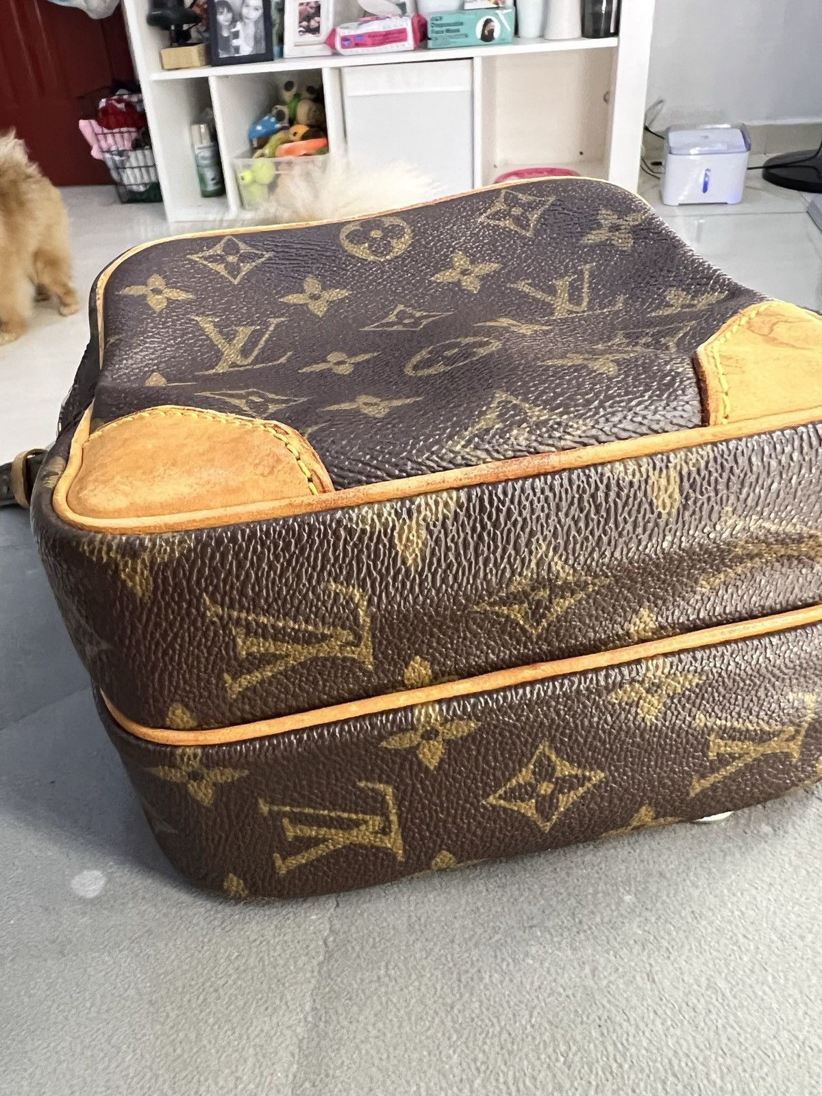 Louis Vuitton LOUIS VUITTON AMAZON CROSSBODY Size ONE SIZE - 13 Thumbnail