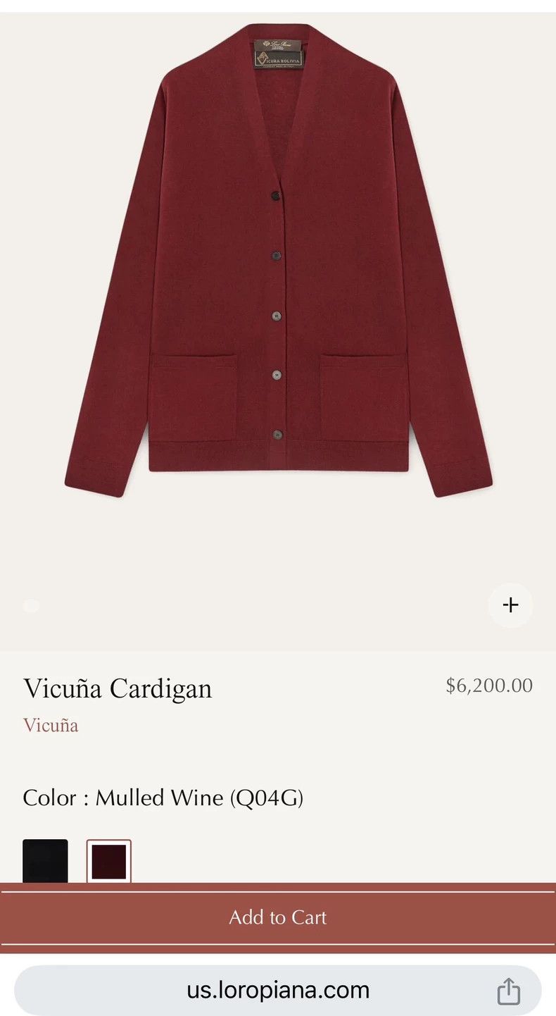 Loro Piana LORO PIANA Vicuna knitted cardigan for ladies Size M / US 6-8 / IT 42-44 - 2 Thumbnail
