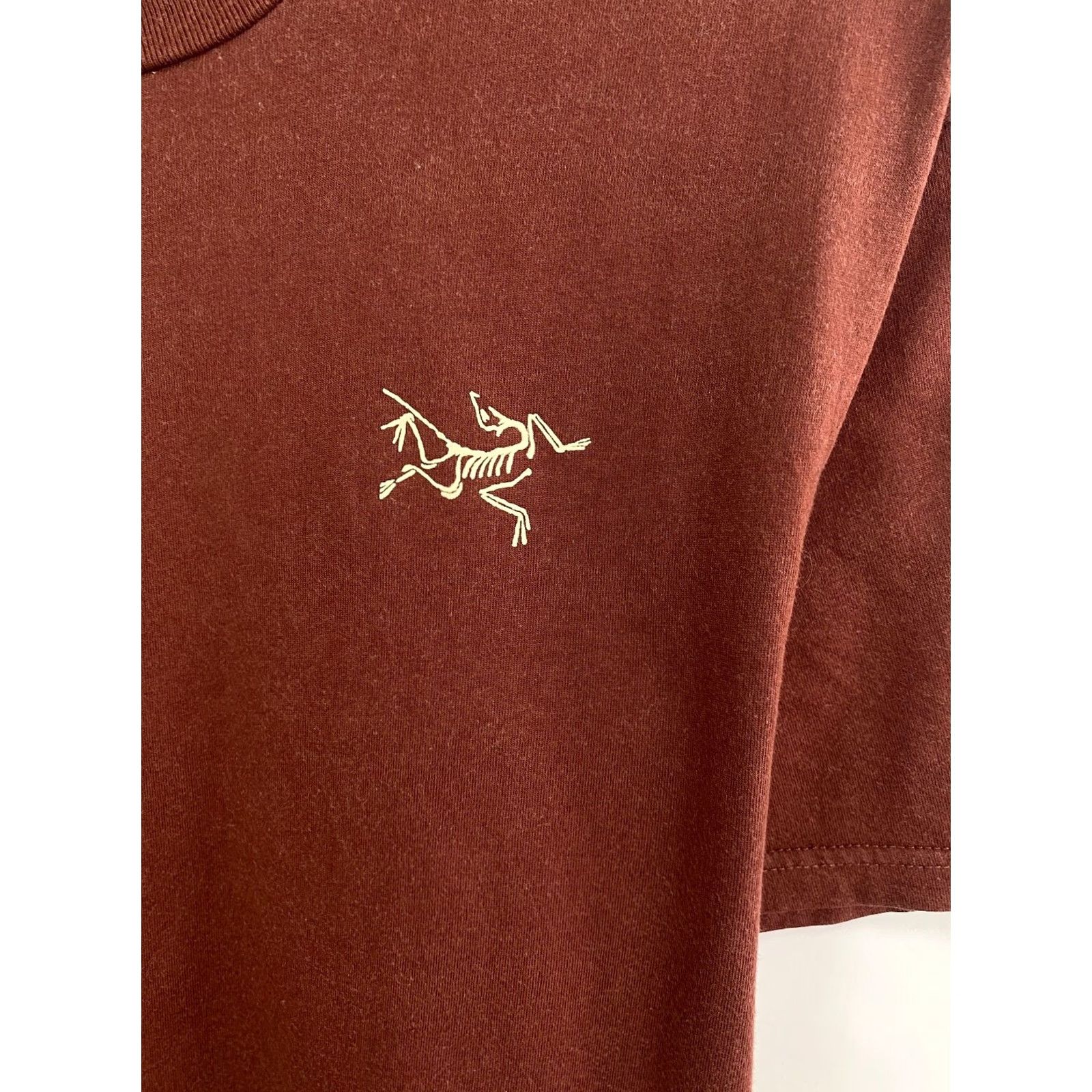 Arc'teryx VINTAGE Arc’teryx Outdoor T-Shirt Mens M Brown Retro Y2K Size US M / EU 48-50 / 2 - 7 Thumbnail