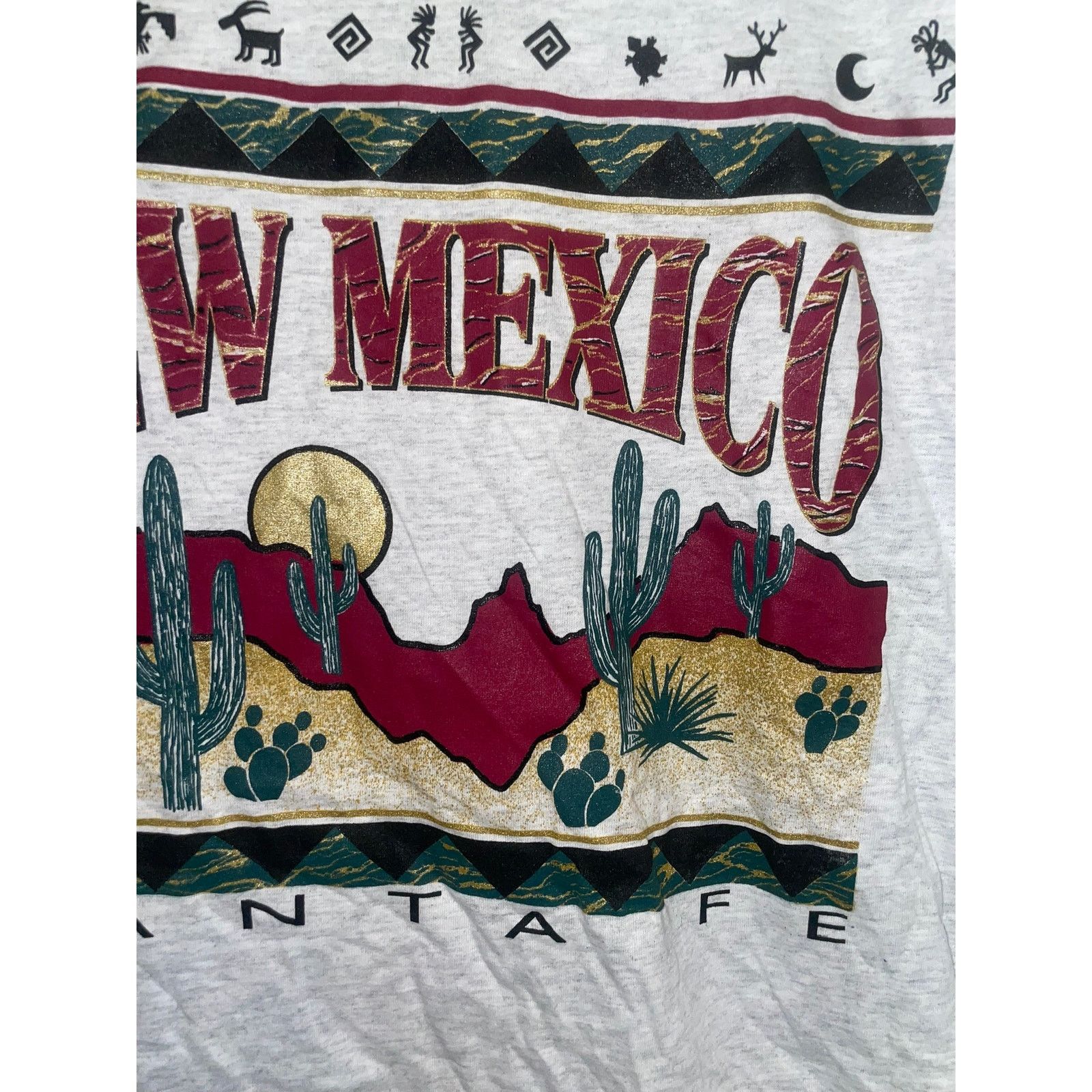 Jerzees 90s NM New Mexico Santa Fe Cactus Desert Shirt 1990s Large Size US L / EU 52-54 / 3 - 4 Thumbnail