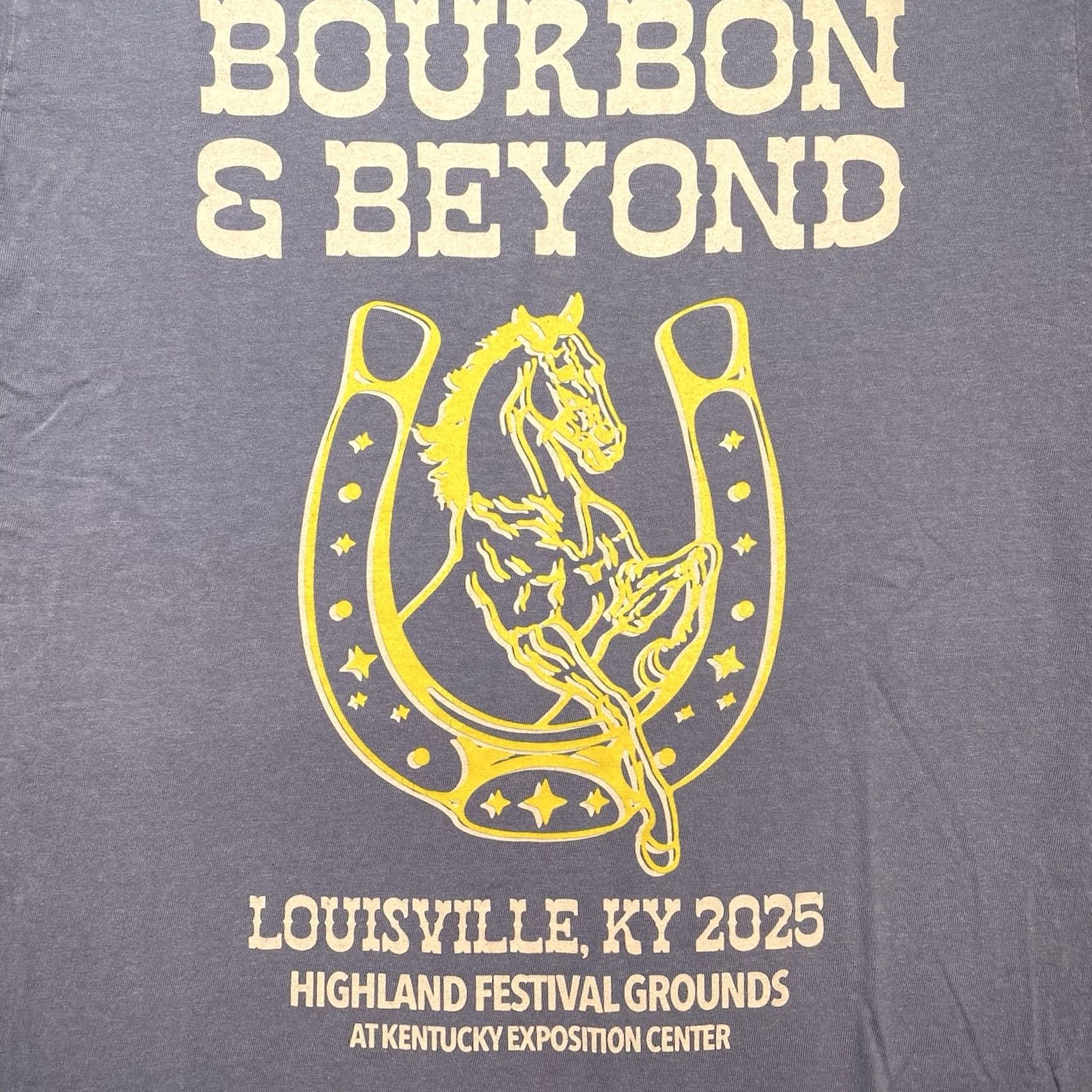 Comfort Colors Bourbon And Beyond Shirt Mens Medium Phish Sting Lumineers Jack White Rock 2025 Blue T-Shirt Band Mens Size US M / EU 48-50 / 2 - 2 Thumbnail
