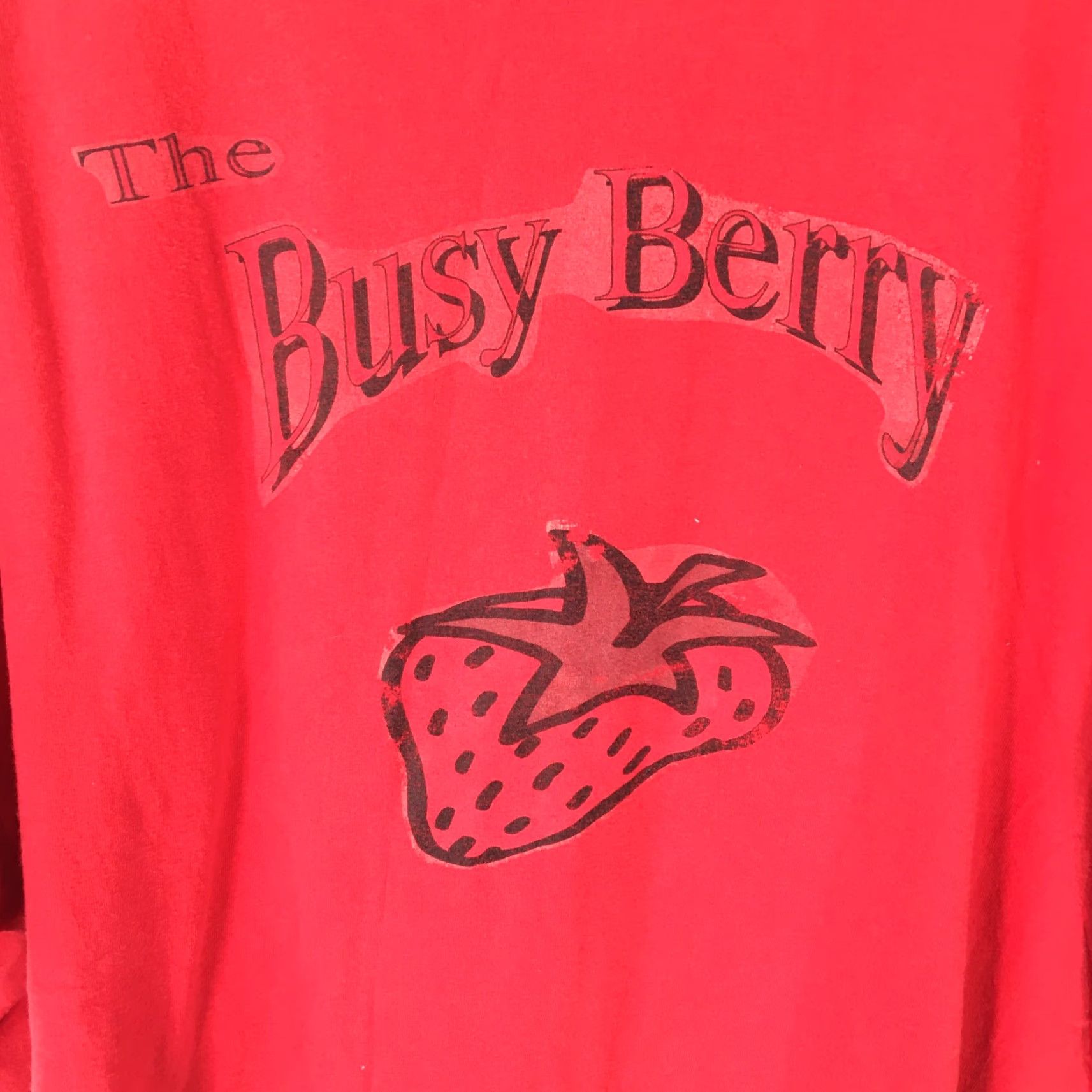 Hanes Hanes Mens Short Sleeve T-Shirt The Busy Berry Red Graphic Tee XXXL Shirt Size US XXL / EU 58 / 5 - 4 Thumbnail