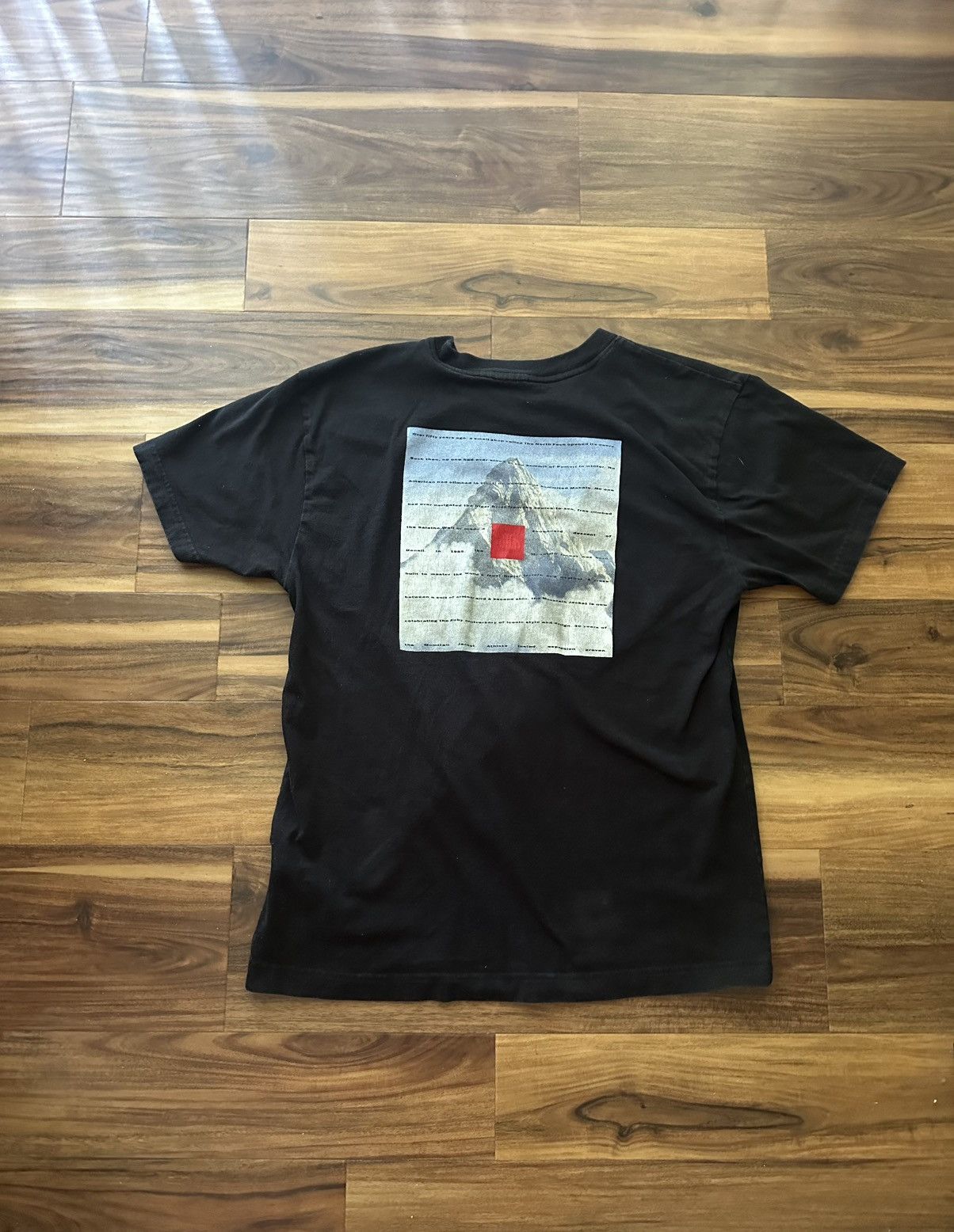 The North Face North face mountain tee Size US M / EU 48-50 / 2 - 2 Thumbnail