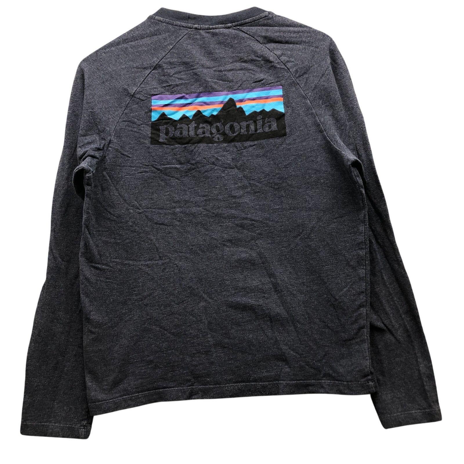 Patagonia Patagonia P-6 Logo Lightweight Sweatshirt Men Small 39485 Size US S / EU 44-46 / 1 - 4 Thumbnail