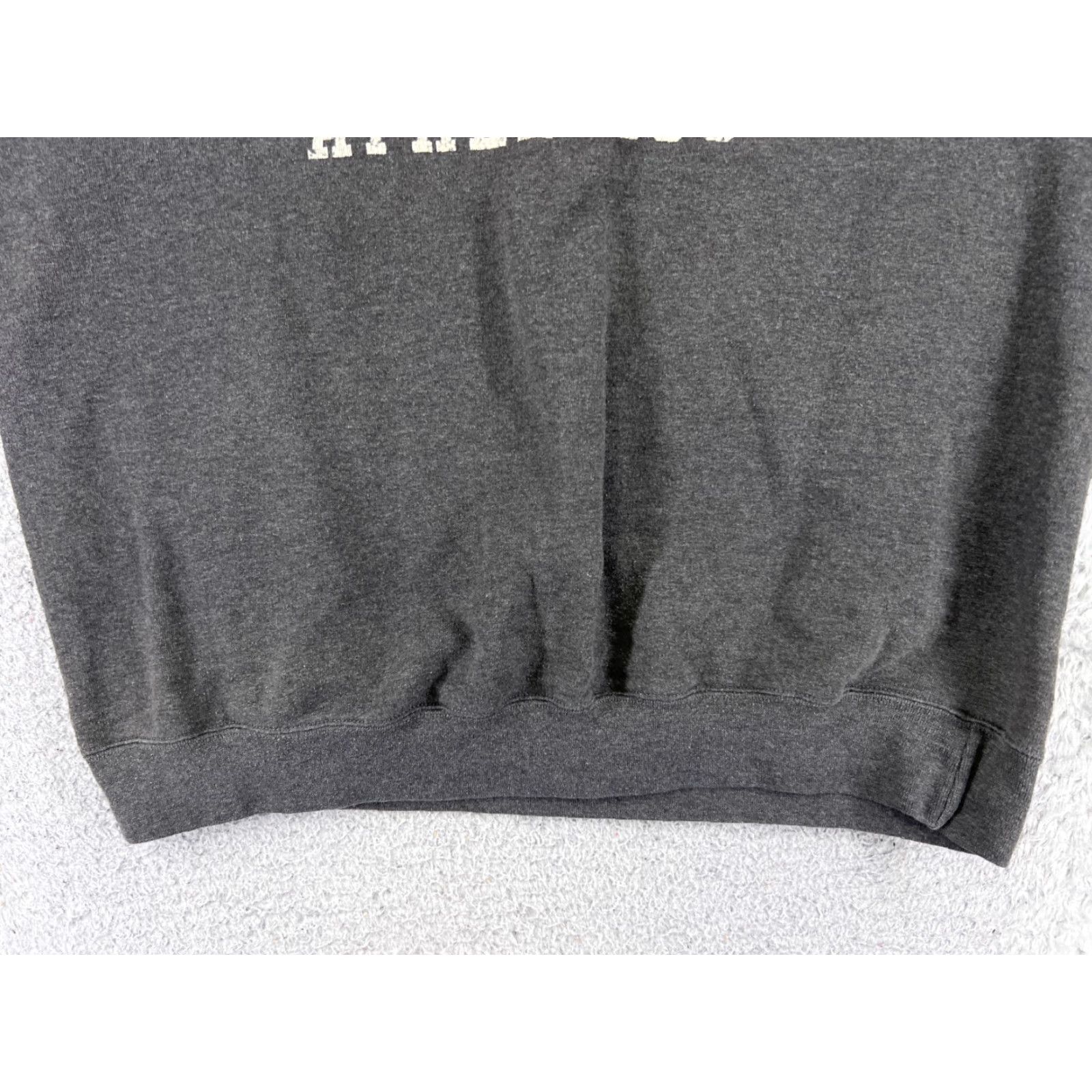 Champion Champion Sweater Men Large Gray Cotton Tiger Athletics Long Sleeve Crew Neck Size US L / EU 52-54 / 3 - 5 Thumbnail