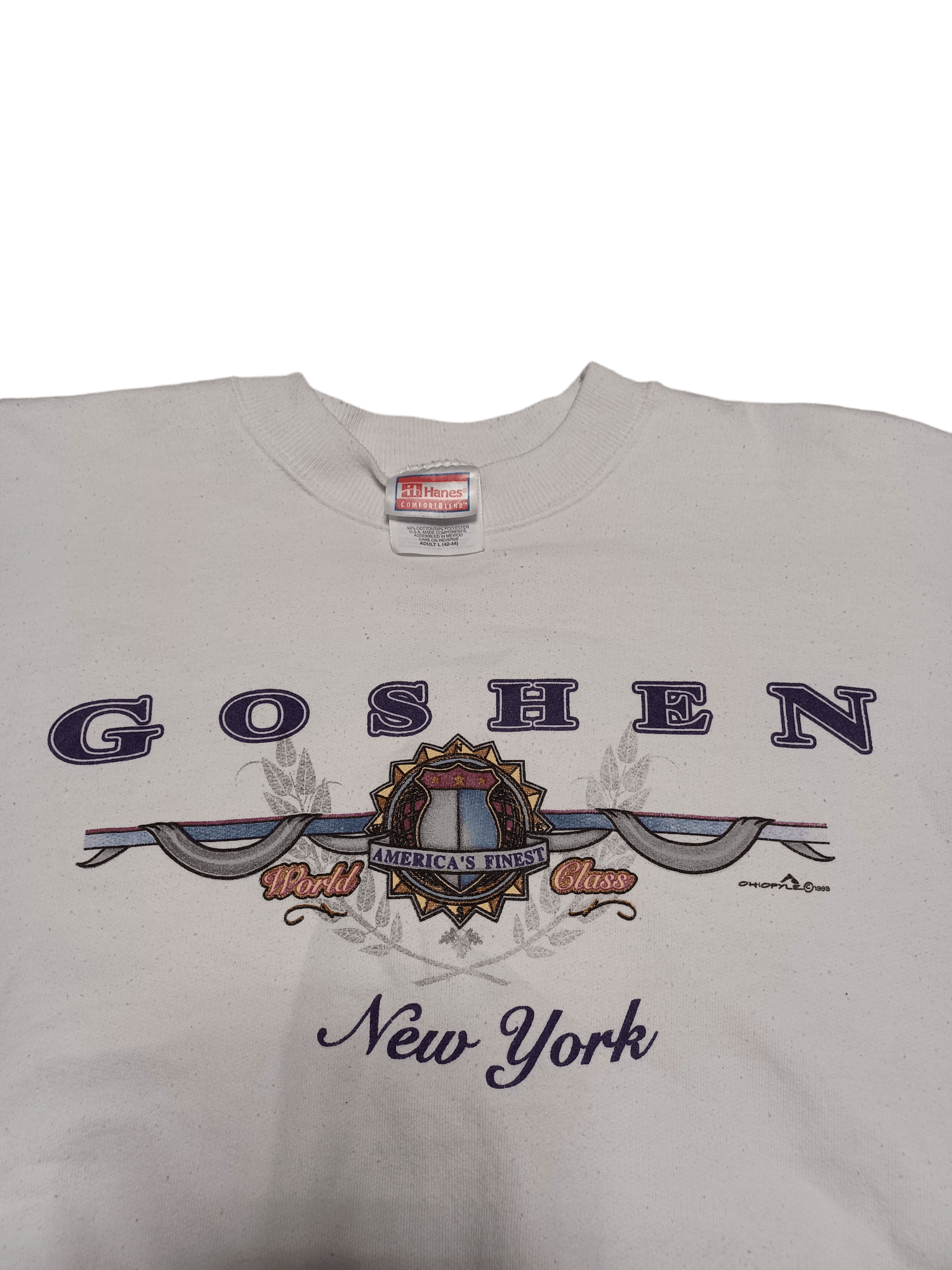 Hanes GOSHEN NEW YORK 1998 VINTAGE HANES CHIEF KEEF SWEATSHIRT Size US L / EU 52-54 / 3 - 2 Thumbnail