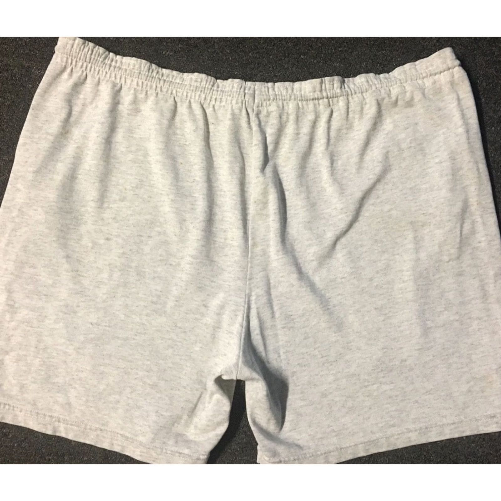 Champion VINTAGE Champion NIU Huskies Faded Shorts XL Men Gray 80s 90s Athletic USA Grunge Nautical Colleg e Track & Field Size US 36 / EU 52 - 6 Thumbnail