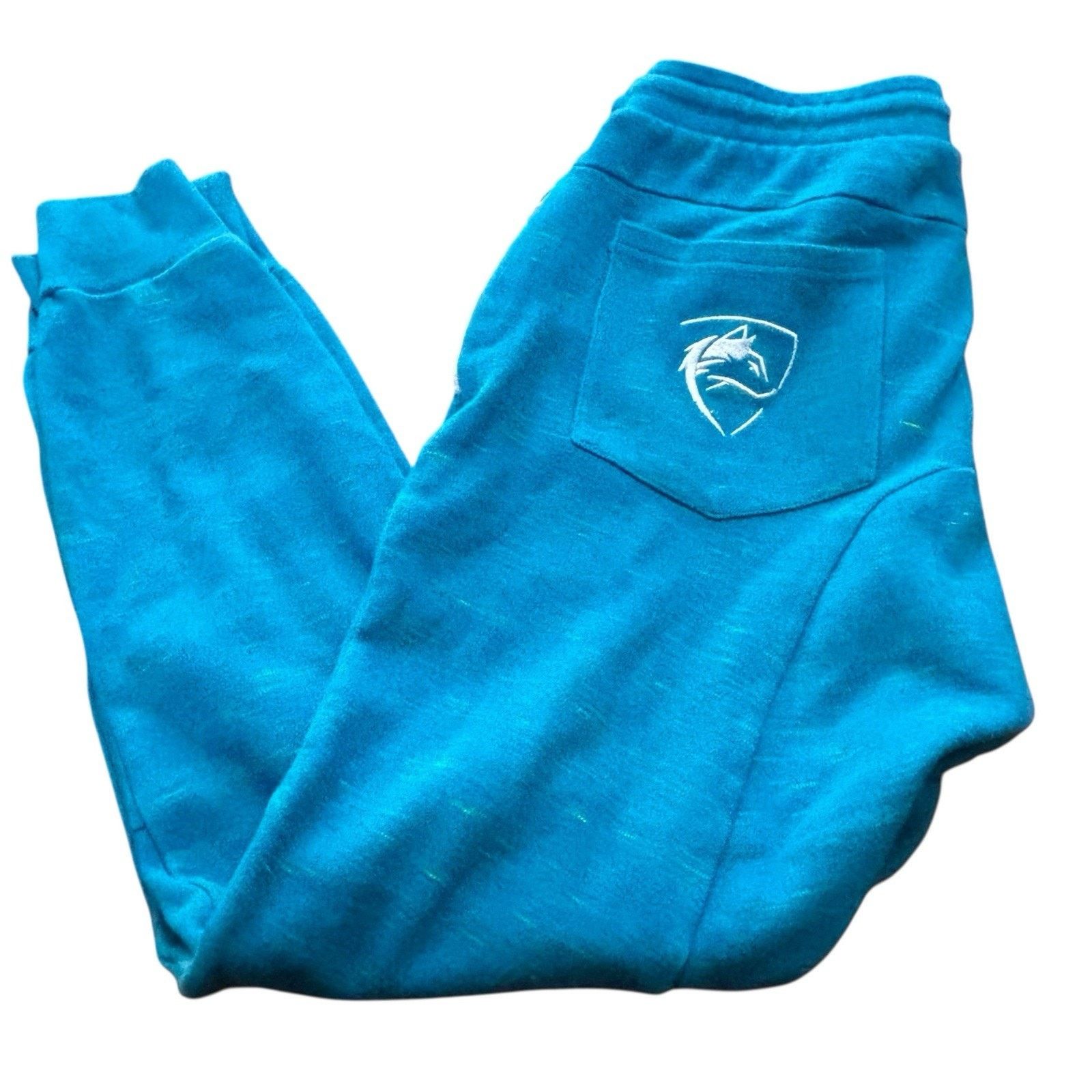 Alphalete Athletics Alphalete Bright Blue Cotton Blend Bright Blue Joggers Large Size US 32 / EU 48 - 4 Thumbnail
