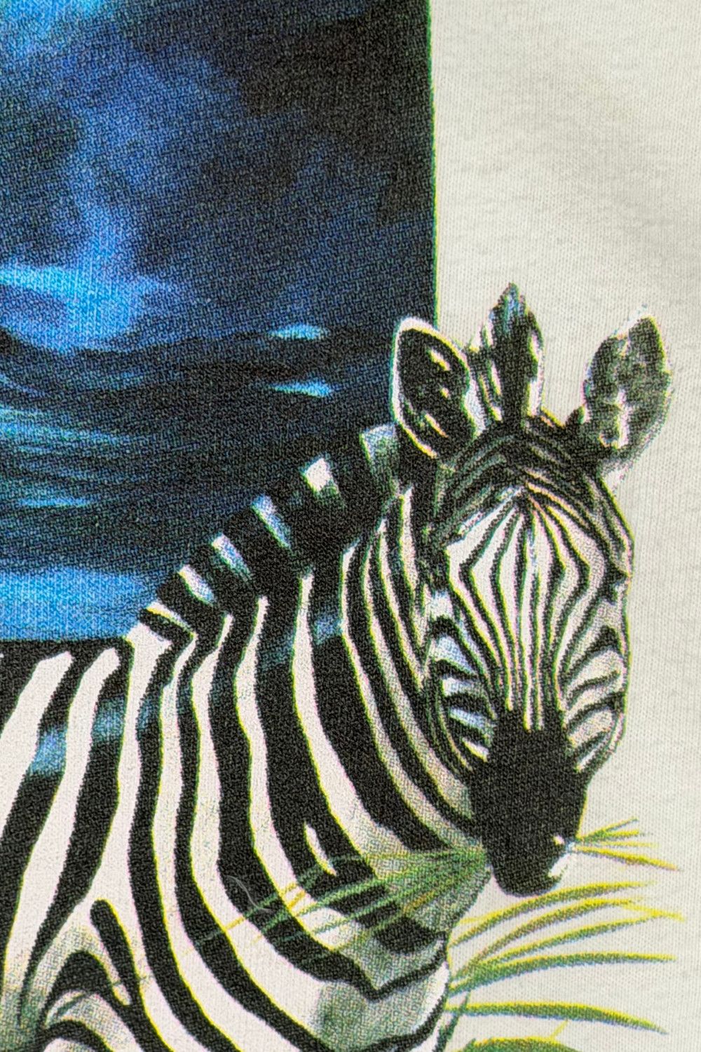Hanes Vintage 1992 Zebra Wildlife Tee Earth Tones Single Stitch Size US XL / EU 56 / 4 - 8 Thumbnail
