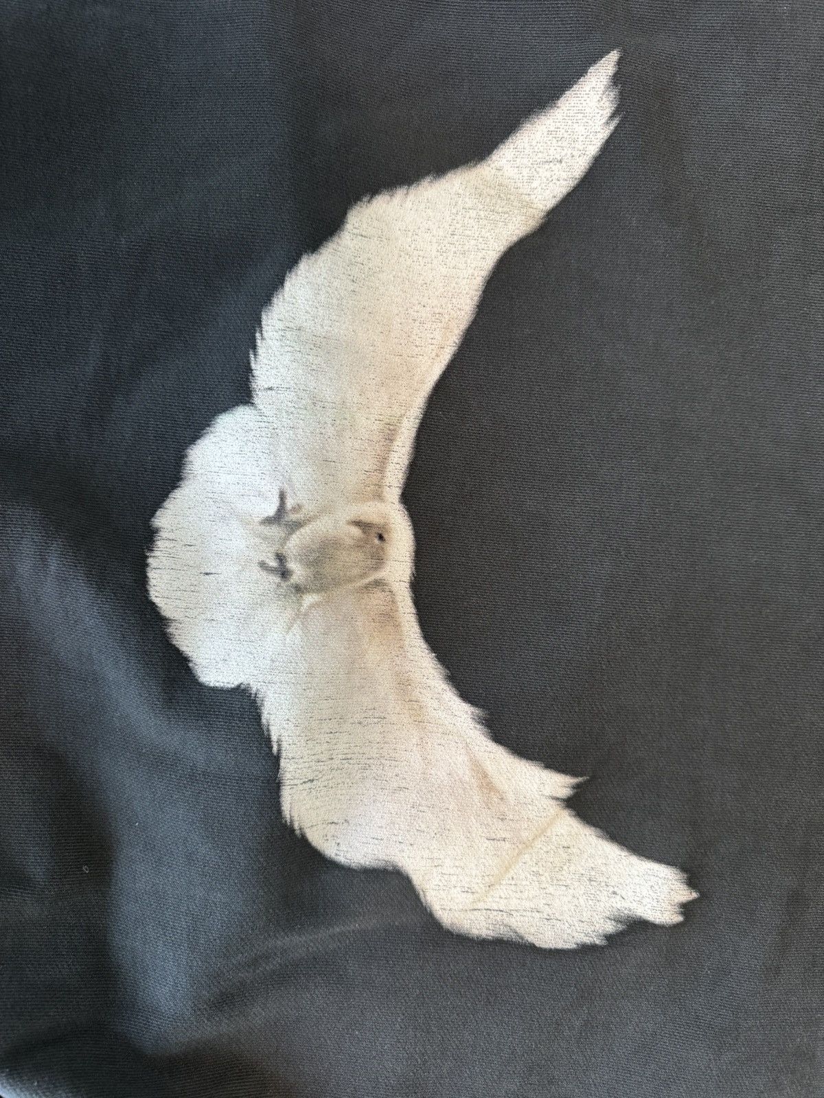 Yeezy Dove Hoodie Washed Black ( OG DOVE) Small Size US S / EU 44-46 / 1 - 3 Thumbnail