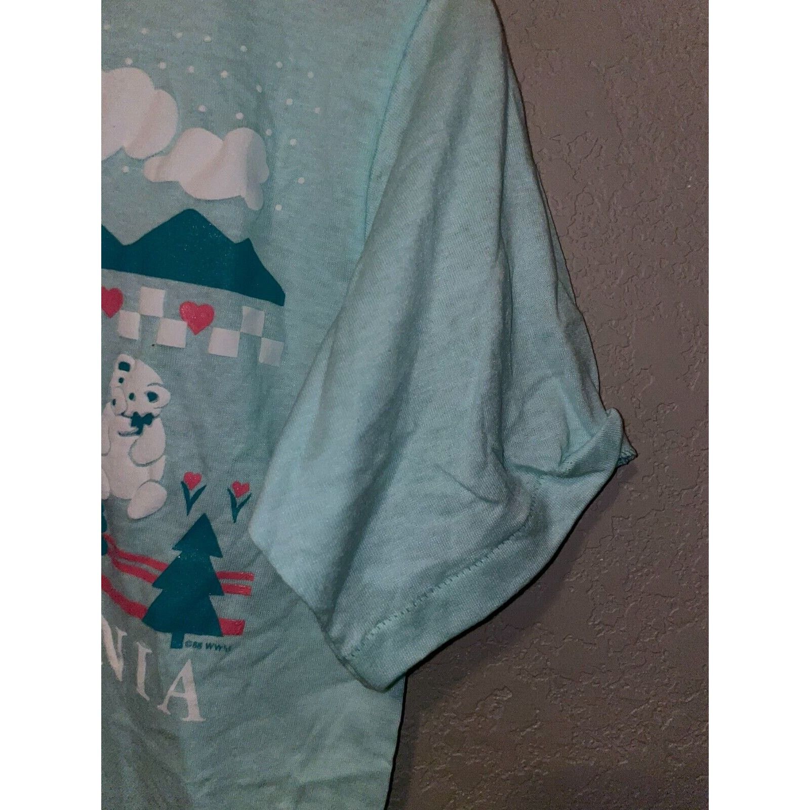 Jerzees Vintage Pennsylvania Blue Shirt Bear Nature Blue Tee 80s M Size US M / EU 48-50 / 2 - 7 Thumbnail