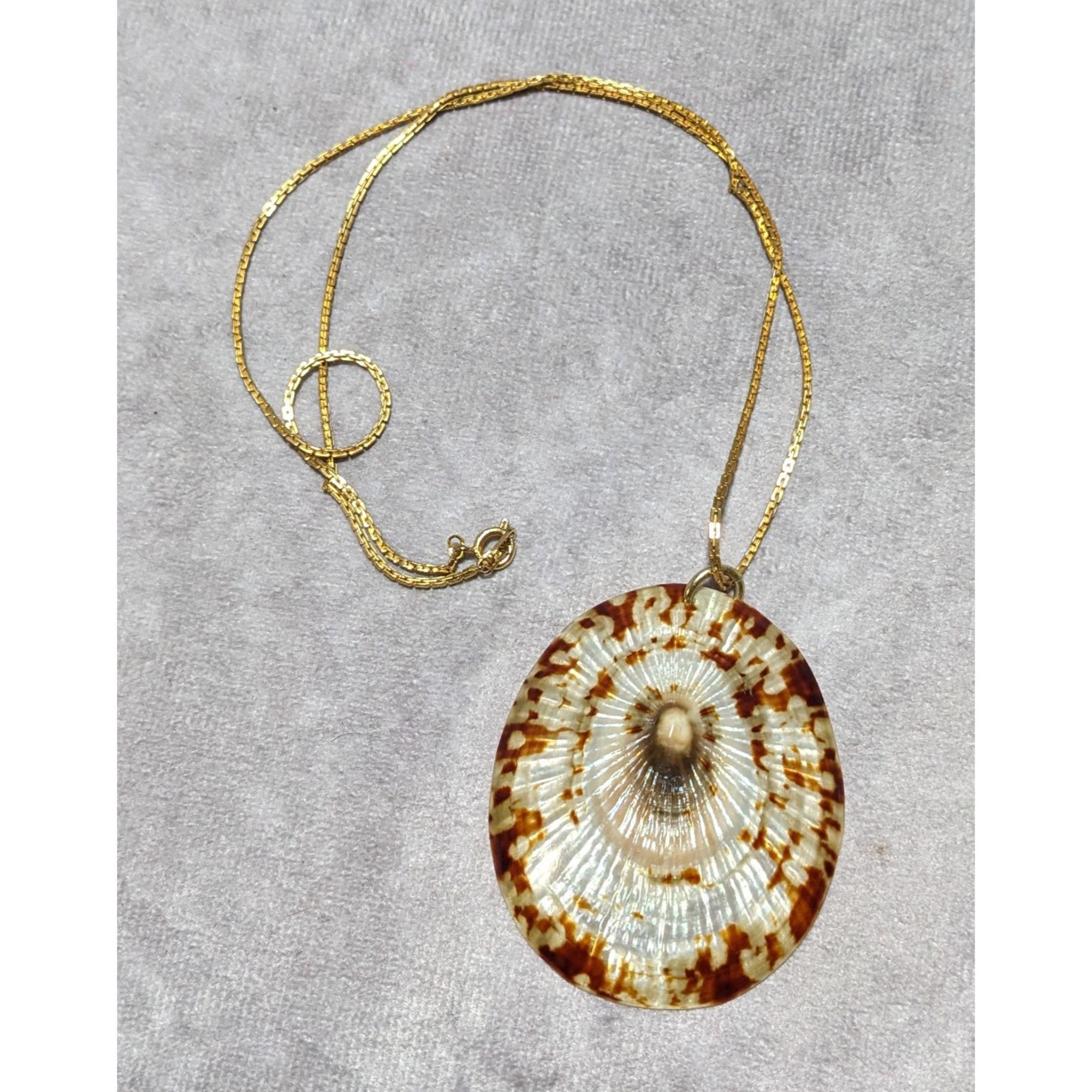 Other Limpet Shell Pendant Necklace Size ONE SIZE - 11 Thumbnail
