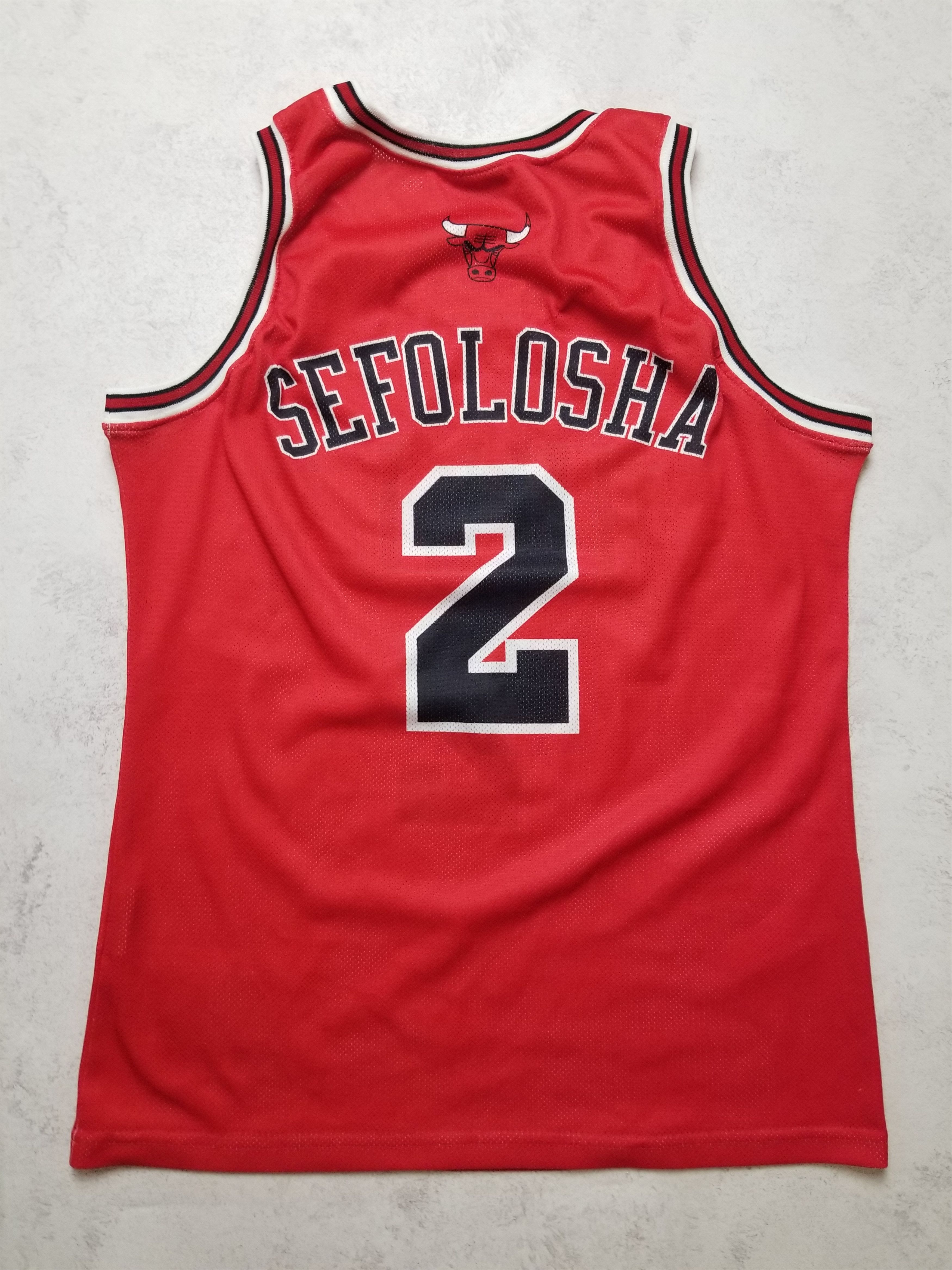 Champion VINTAGE CHAMPION #2 THABO SEFOLOSHA CHICAGO BULLS JERSEY Size US M / EU 48-50 / 2 - 1 Thumbnail