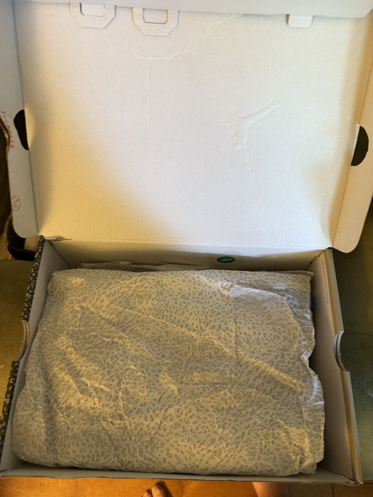 Jordan Brand Nike Air Jordan 3 “Lucky Shorts” minimal use, OG Box, clean! Size US 9.5 / EU 42-43 - 5 Thumbnail
