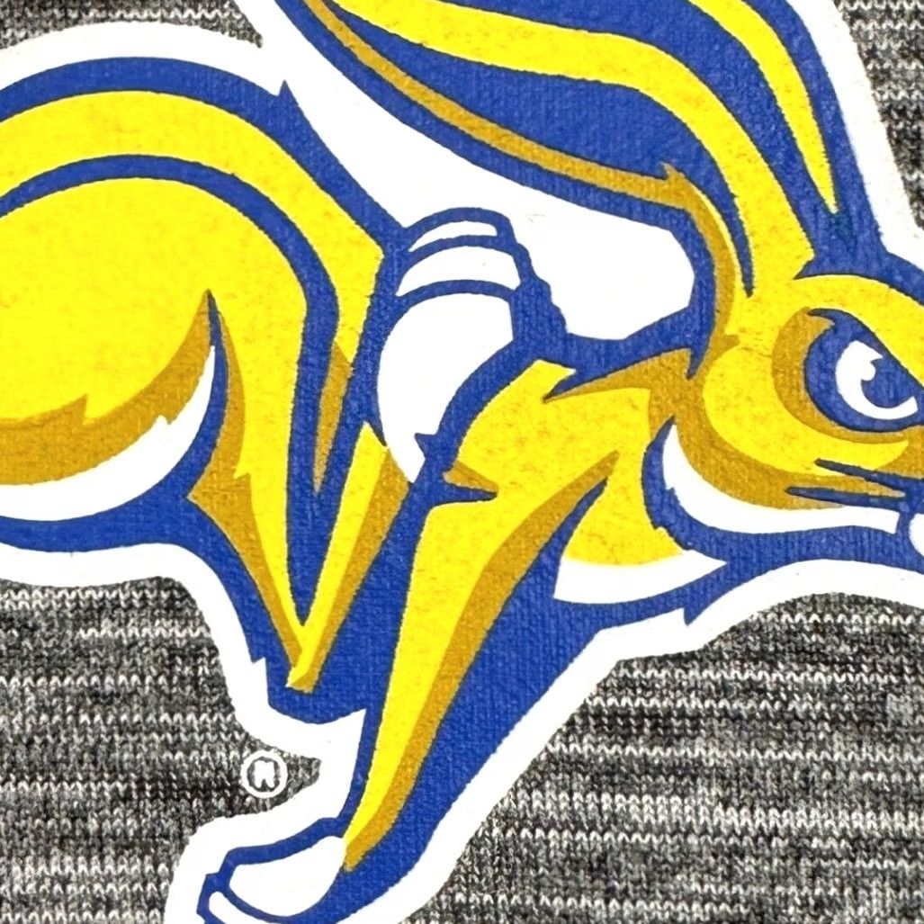 Champion South Dakota State Jackrabbits Shirt Pullover Mens 2XL Gray Quarter Zip Champion Size US XXL / EU 58 / 5 - 4 Thumbnail
